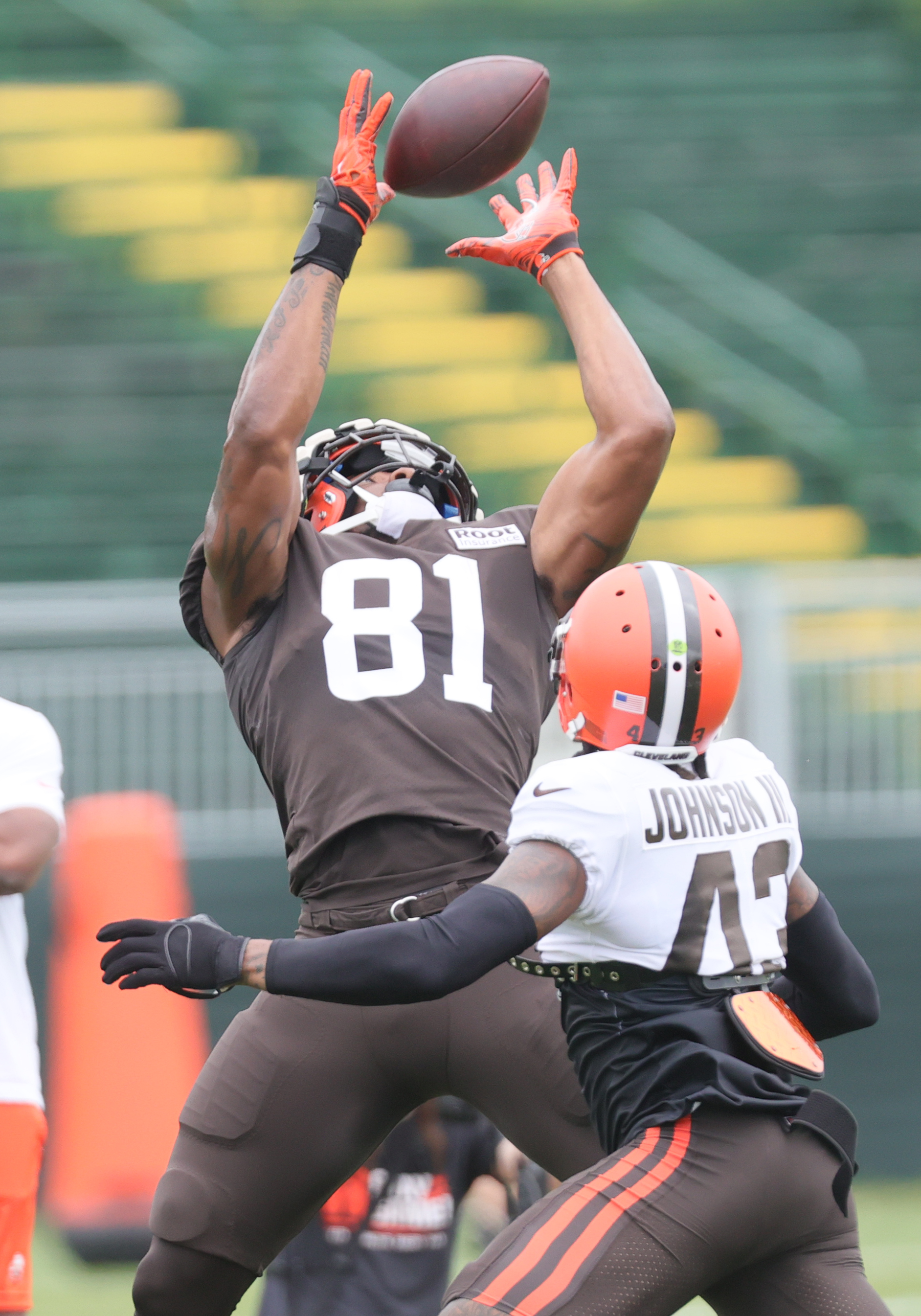 Cleveland Browns tight end Zaire Mitchell-Paden (81) runs on the