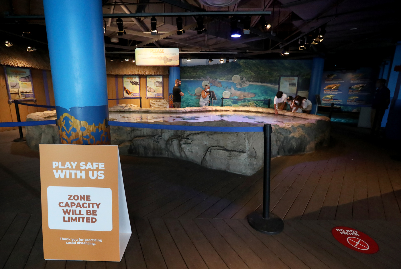 Adventure Aquarium in Camden reopens following coronavirus shutdown