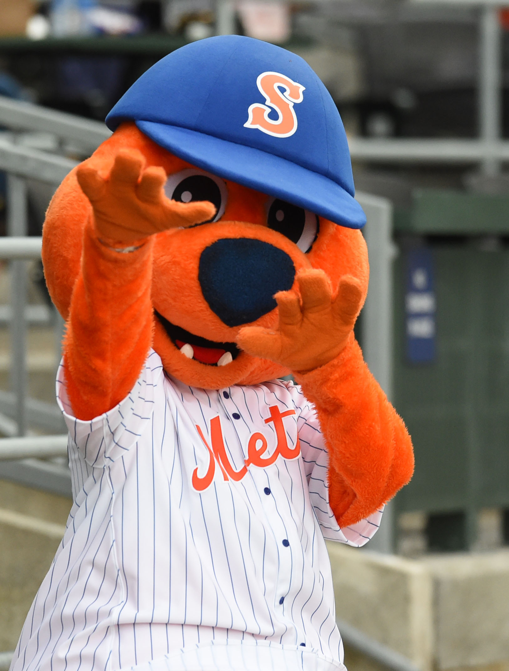 2021 Syracuse Mets Scooch Mascot