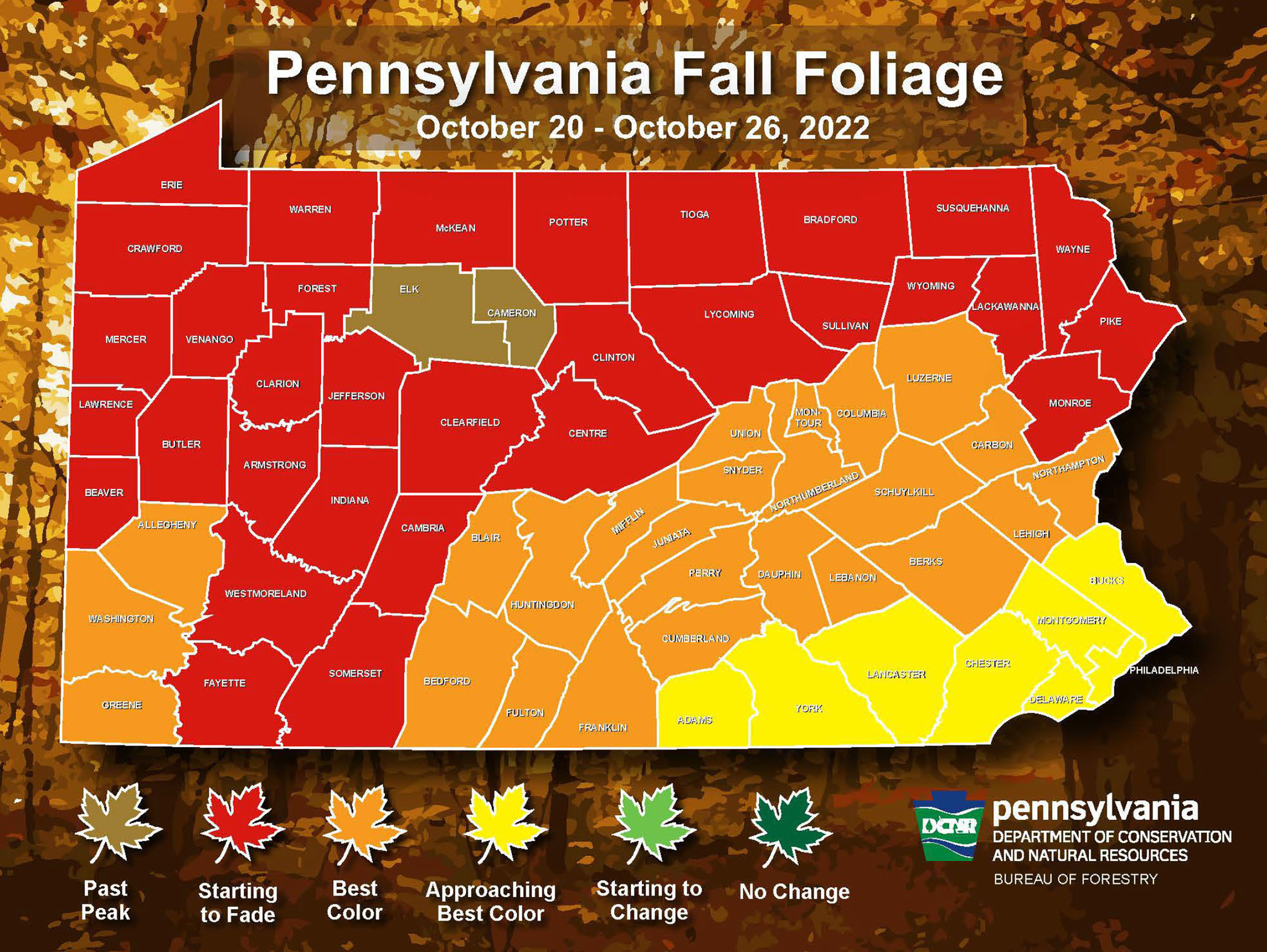 Pennsylvania Fall Foliage Peak Map 2024 - Alica Aveline