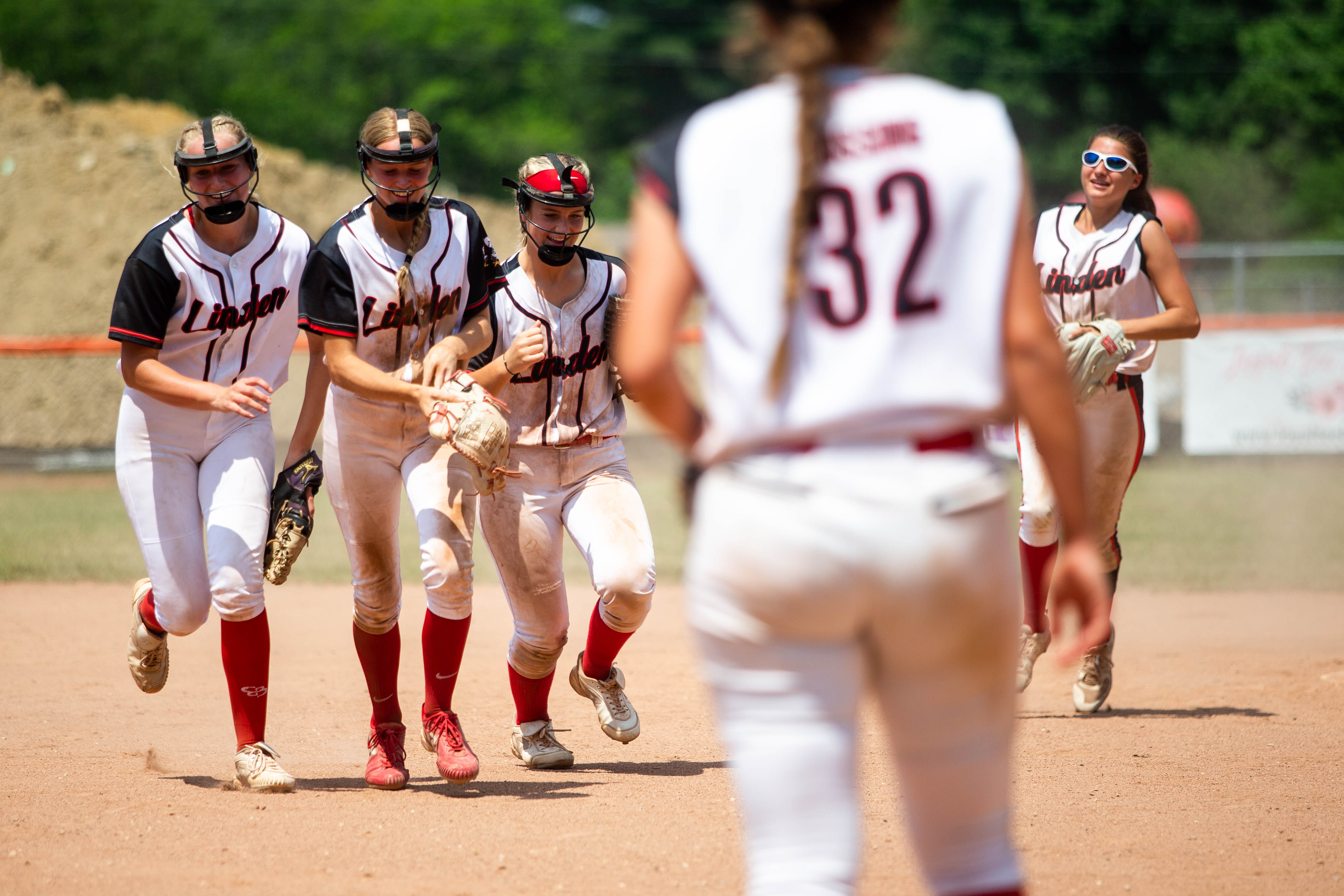 Division 2 regional final Linden vs Essexville Garber