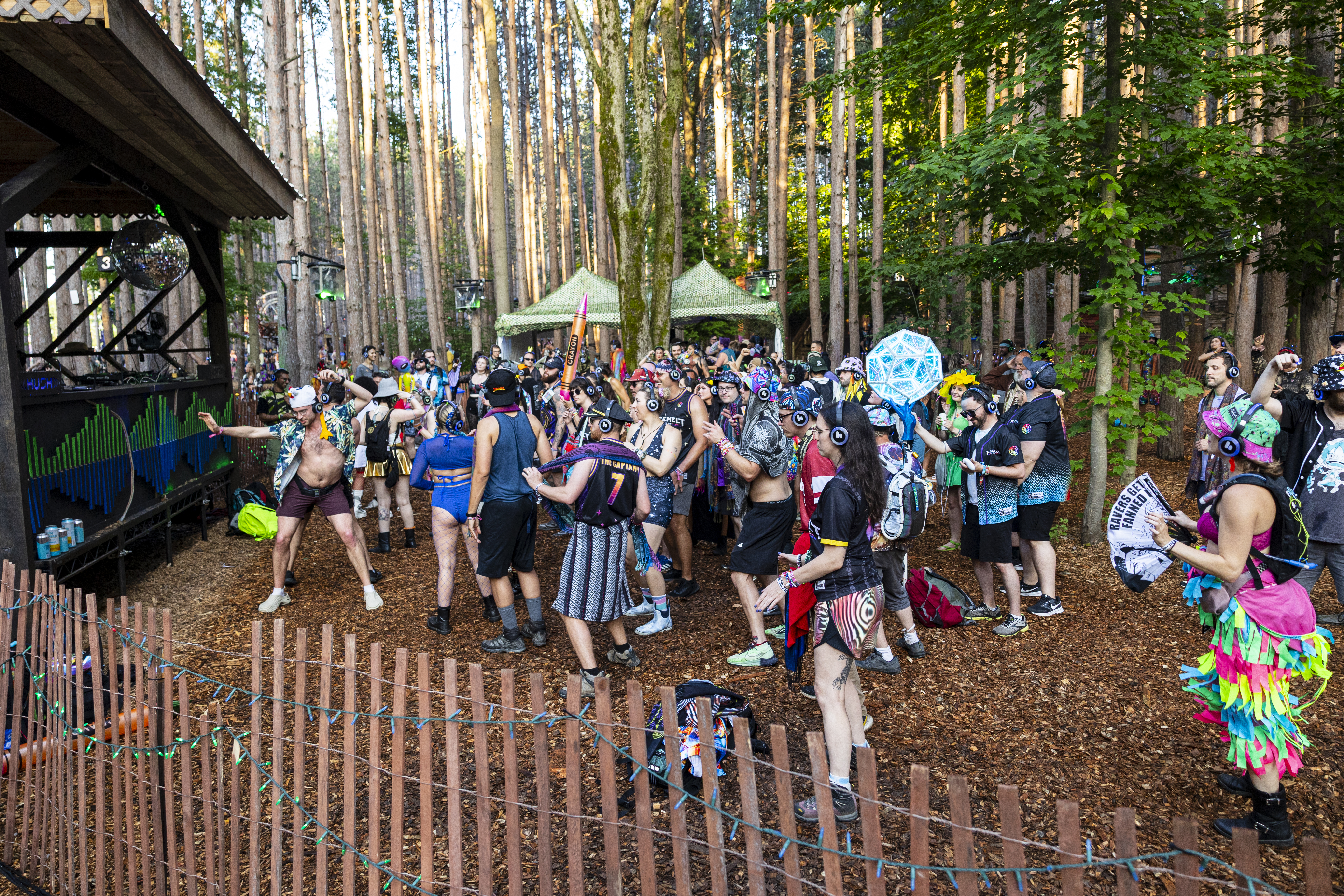 Step inside Sherwood Forest: The colorful heart of Electric