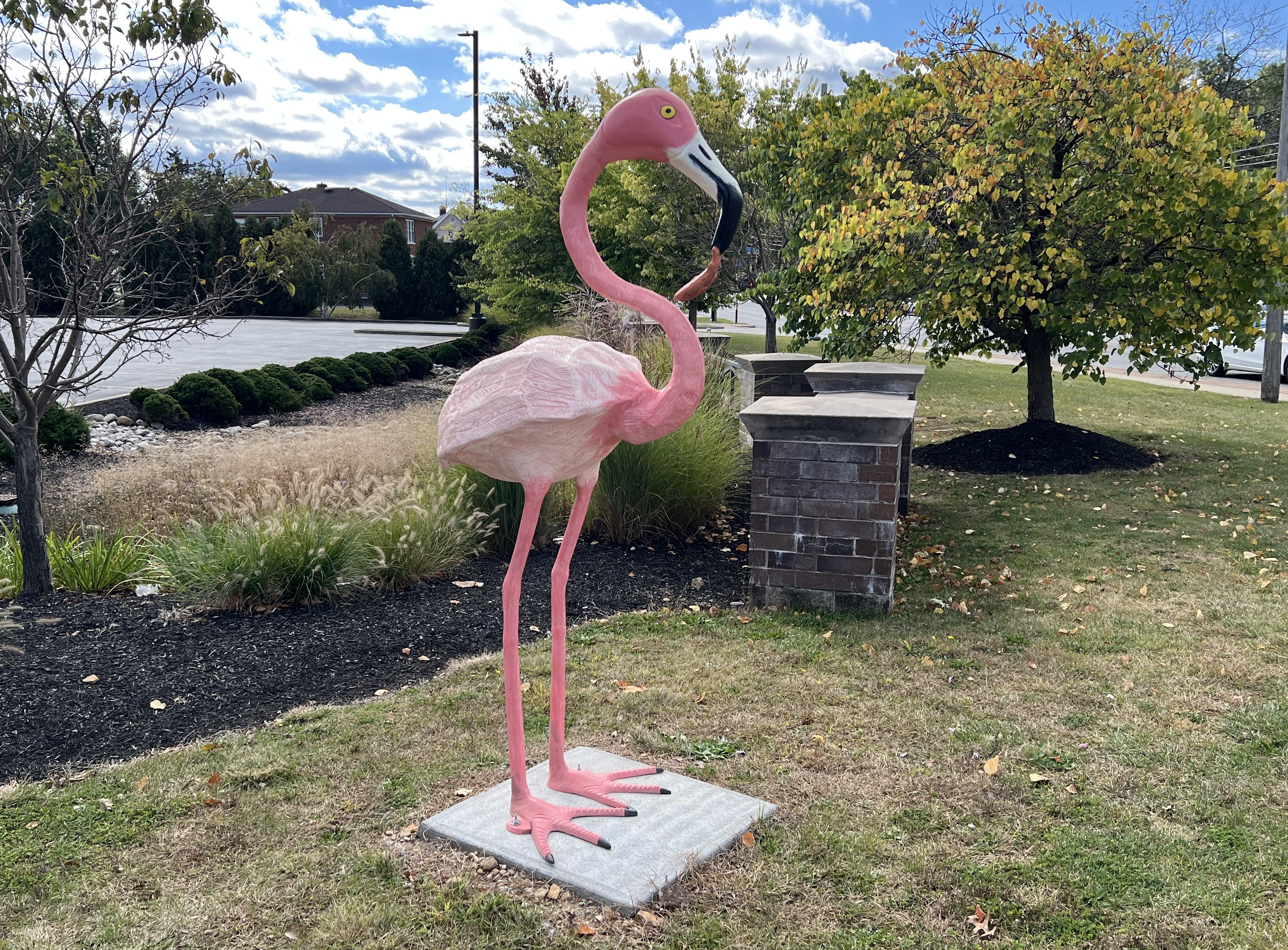Parma returns flamingo to busy corner, warns potential thieves