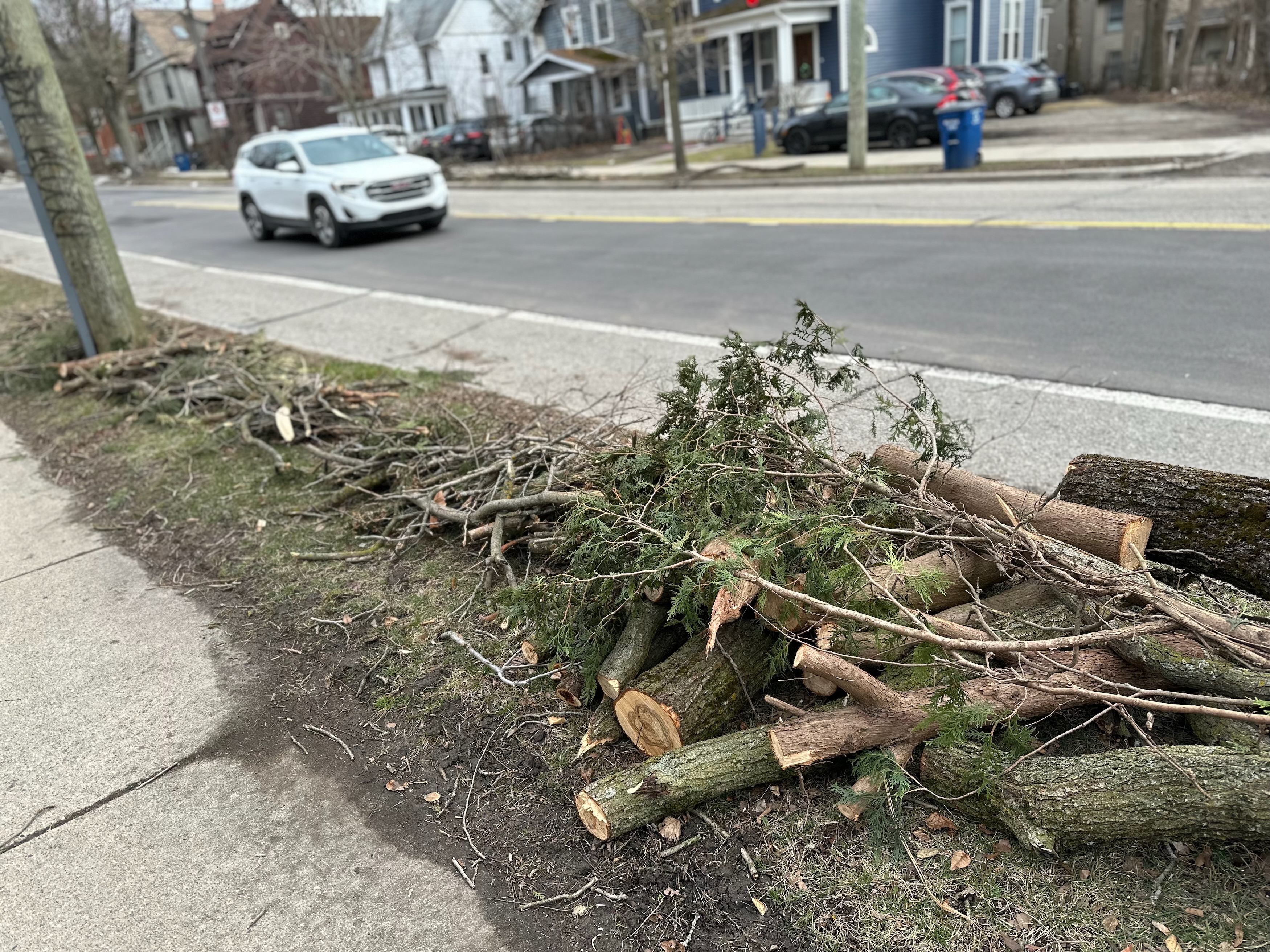 Tree branch pickup plans announced for Ann Arbor, Ypsilanti areas following  ice storm