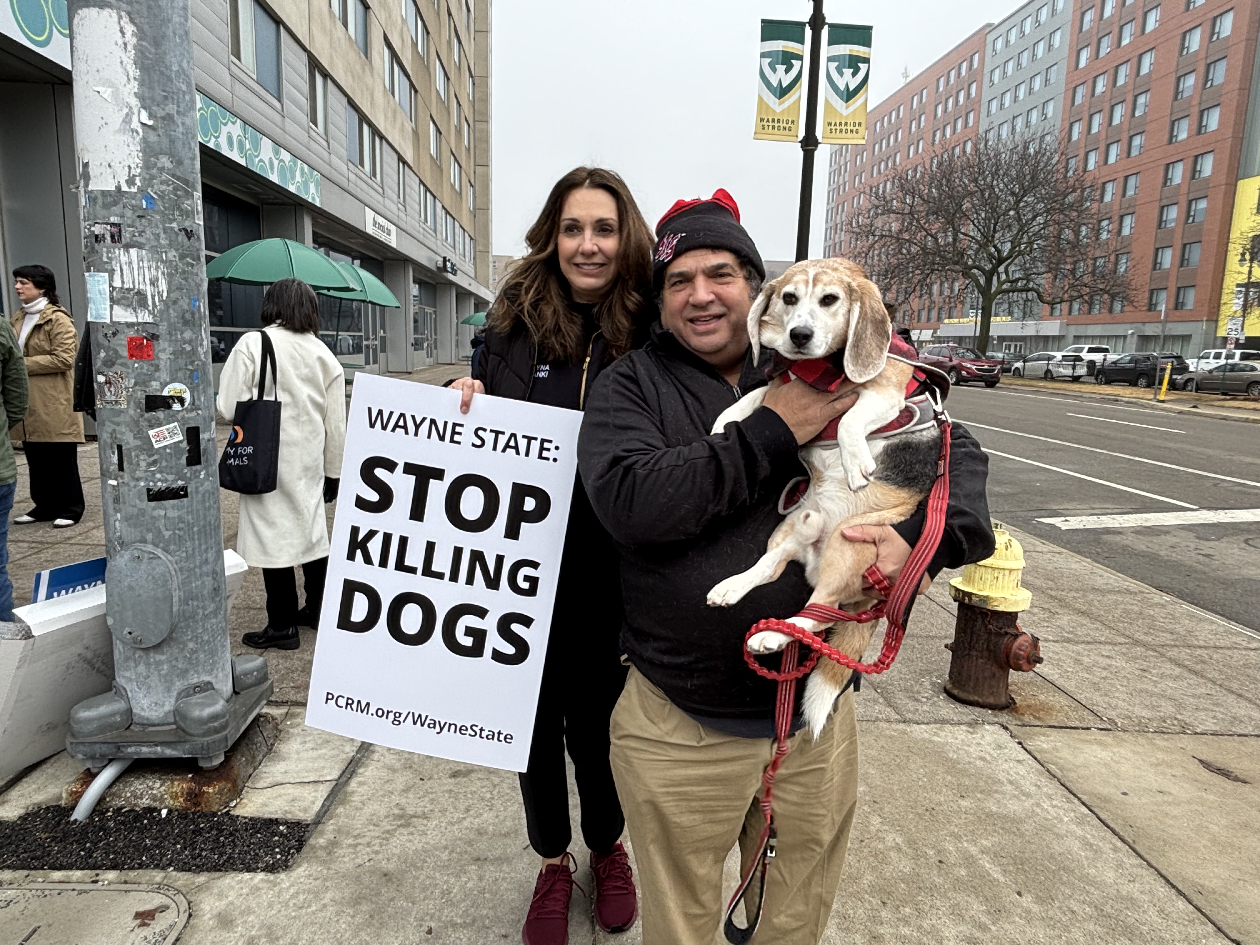 Michigan lawmakers to consider dog experiment ban as Lions players