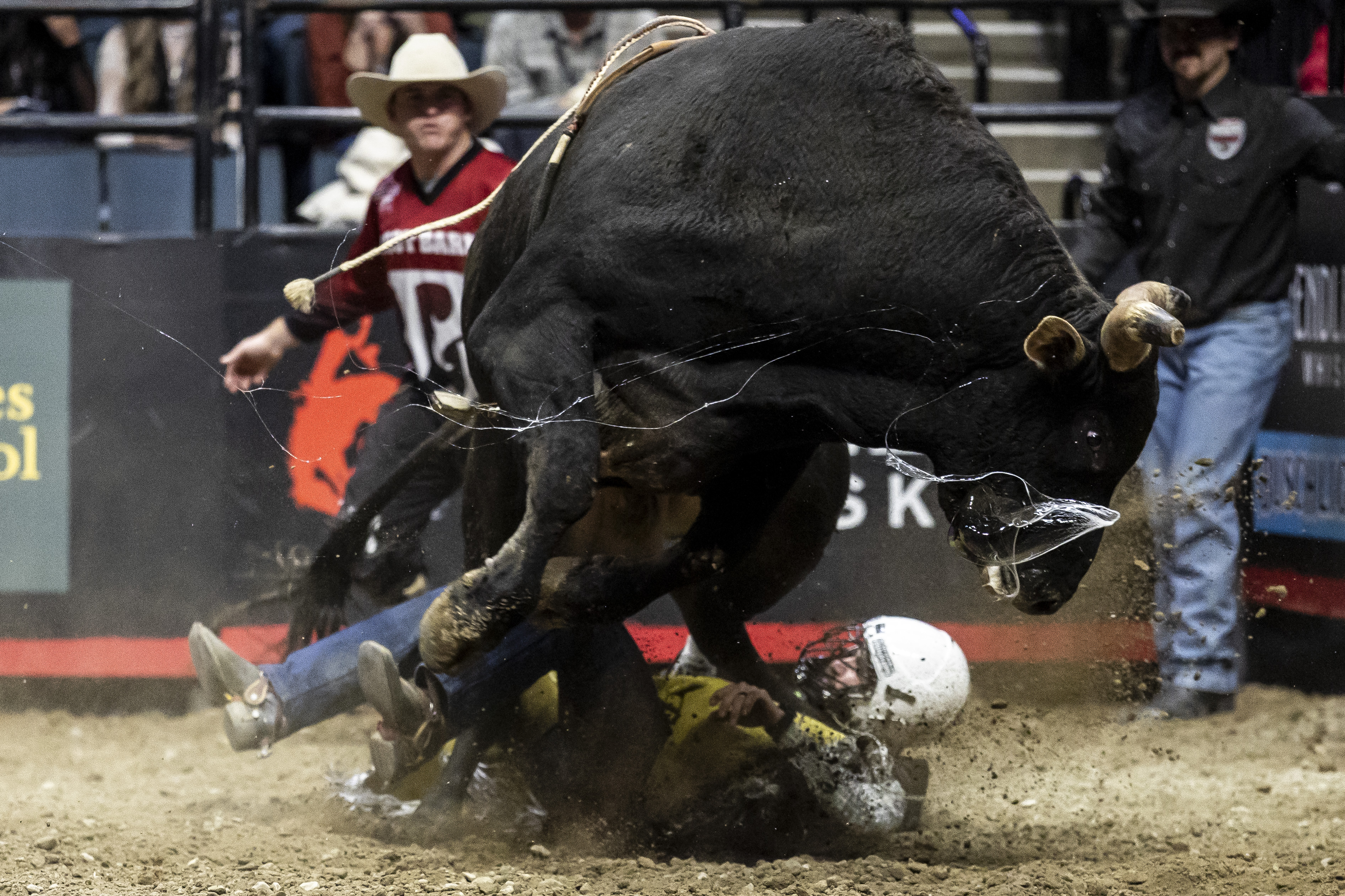 World’s best bull riders compete in Grand Rapids - mlive.com