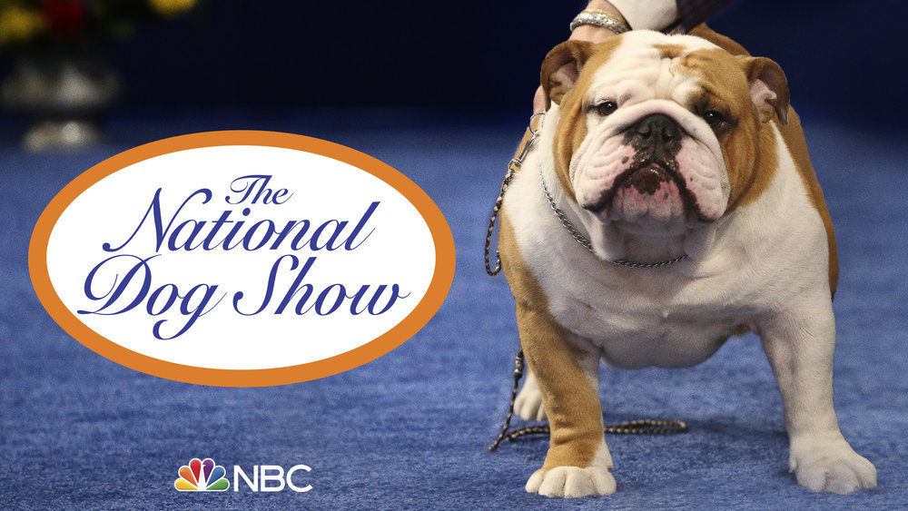 purina dog show 2019