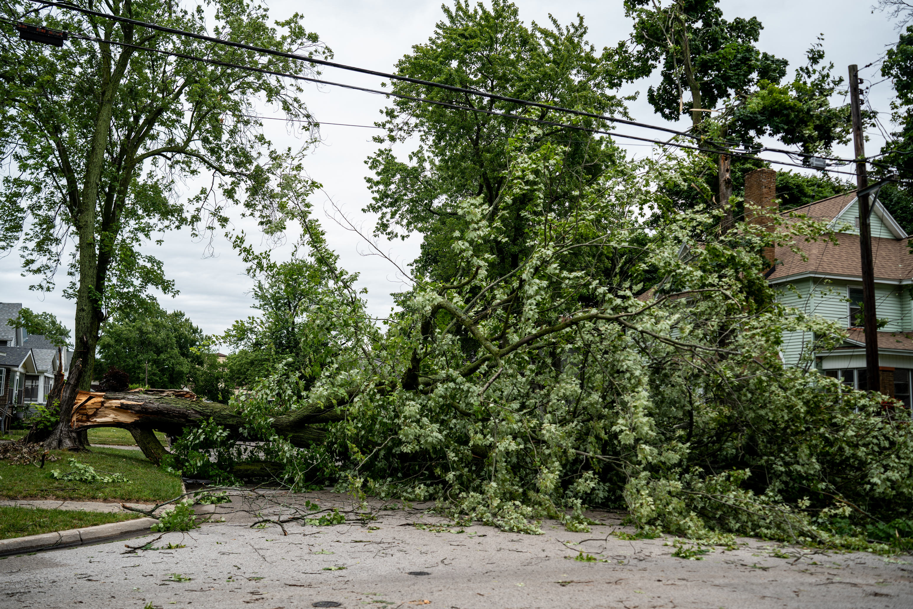 Storm leaves thousands in Muskegon without power, tree damage - mlive.com