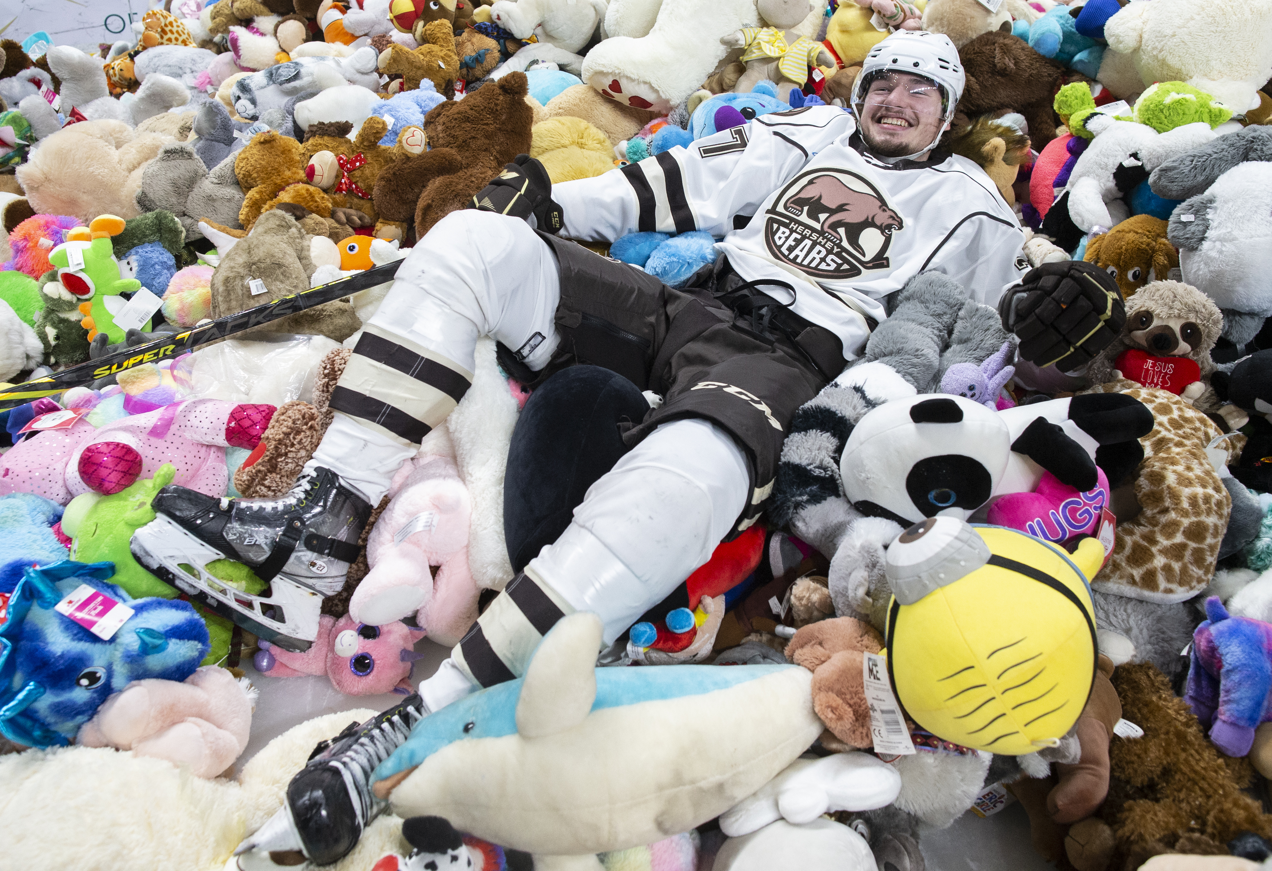 Hershey Bears' iconic Teddy Bear Toss game returning in 2022