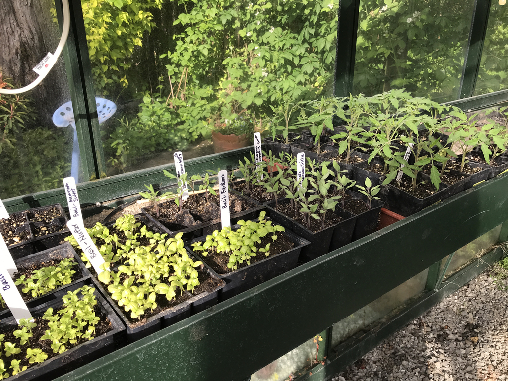 Greenhouses in Oregon