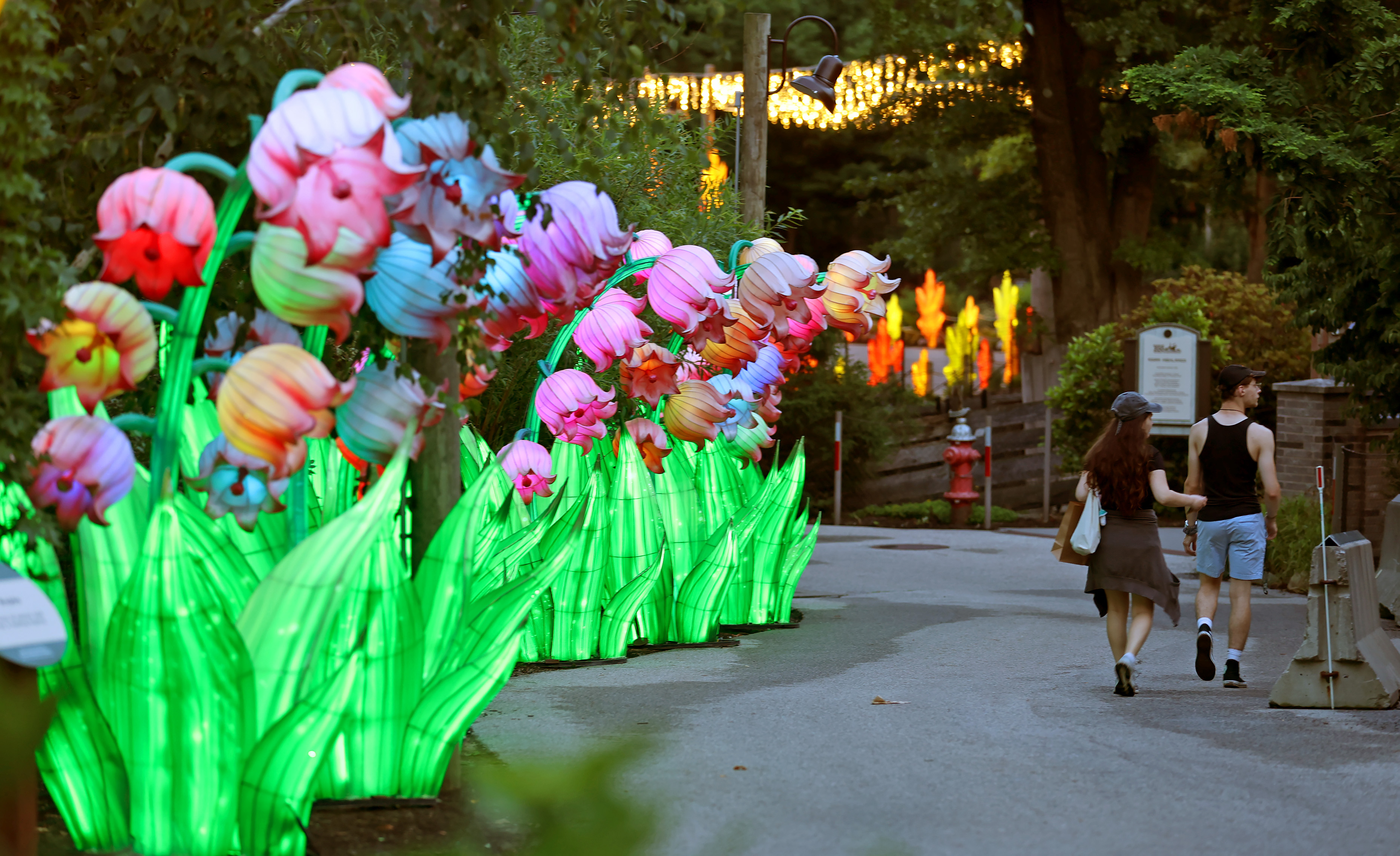 Asian Lantern Festival Lights Up Cleveland Metroparks Zoo for 2026