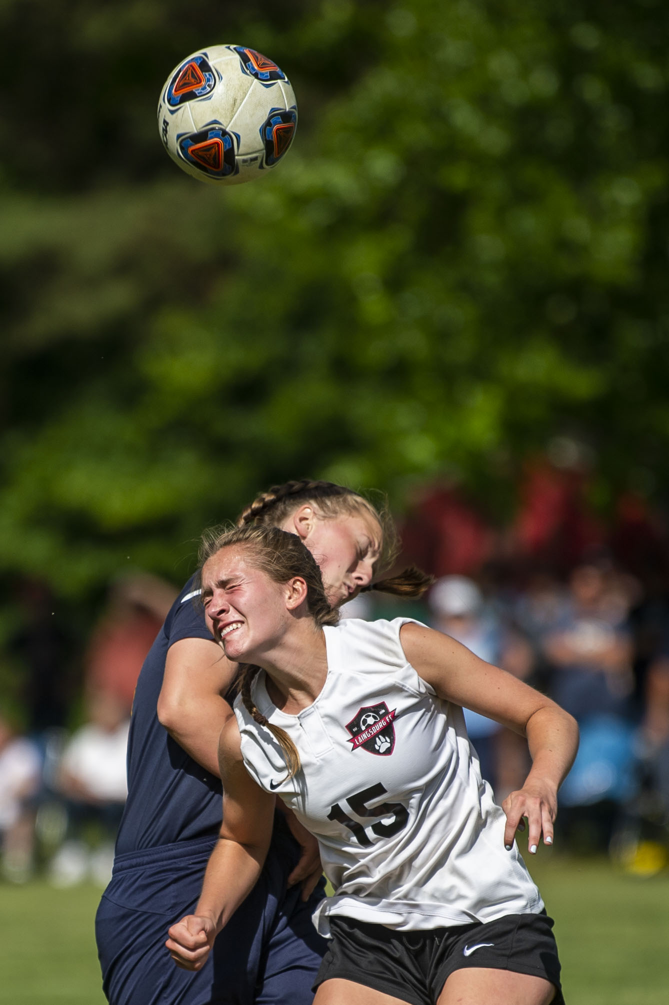 Laingsburg girls soccer defeats Valley Lutheran regional semifinal