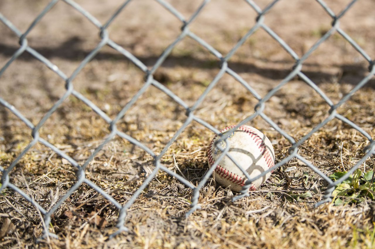 Brighton High School (Rochester,NY) - The Baseball Cube