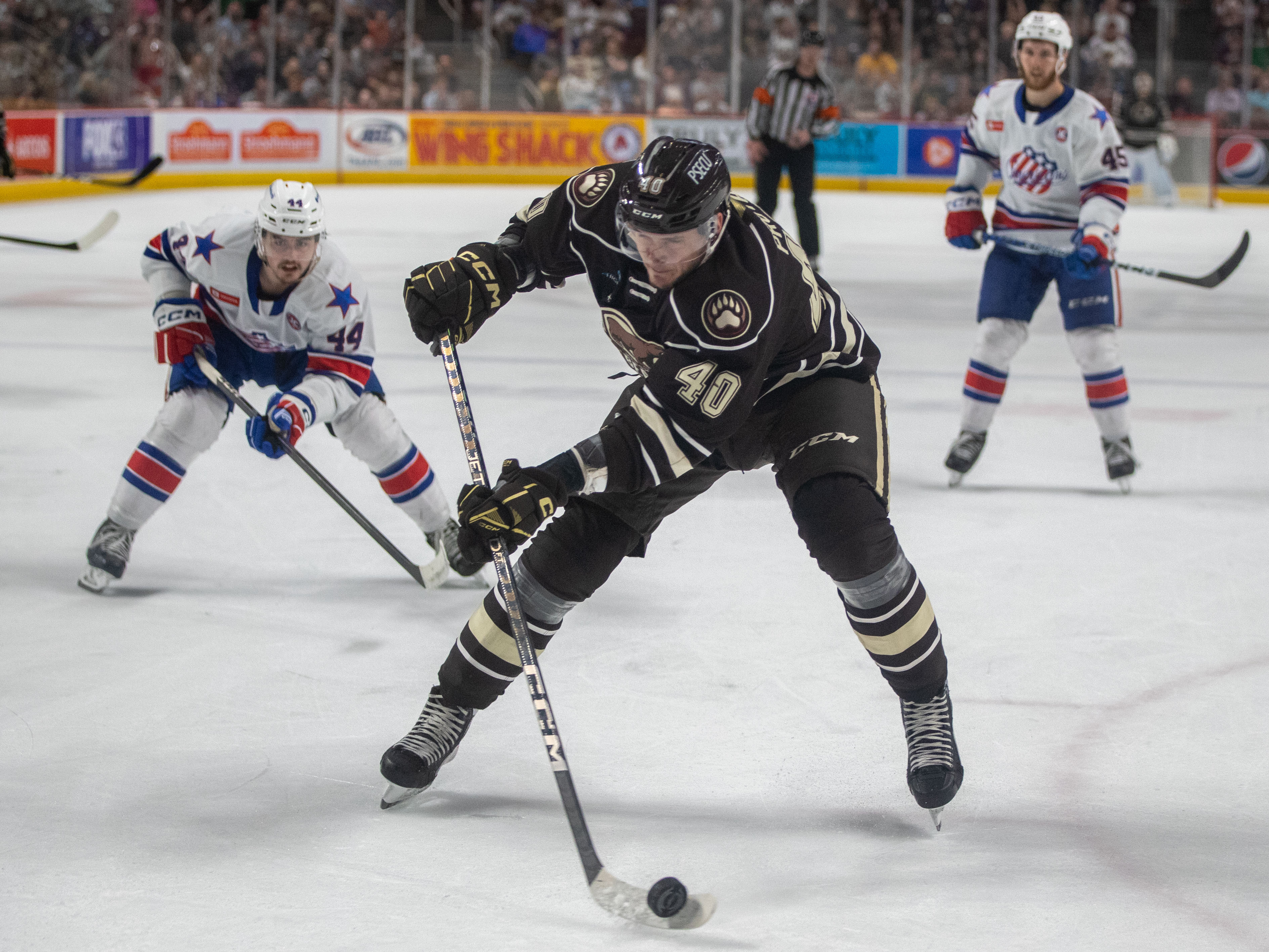 Hershey Bears] Calder Cup Finals, here we come! : r/hockey