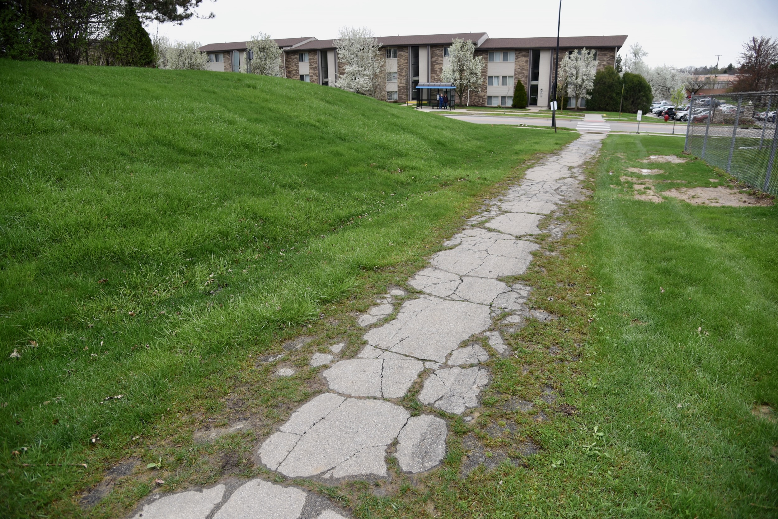 RunnymedePauline asphalt path in Ann Arbor crumbling, muddy and