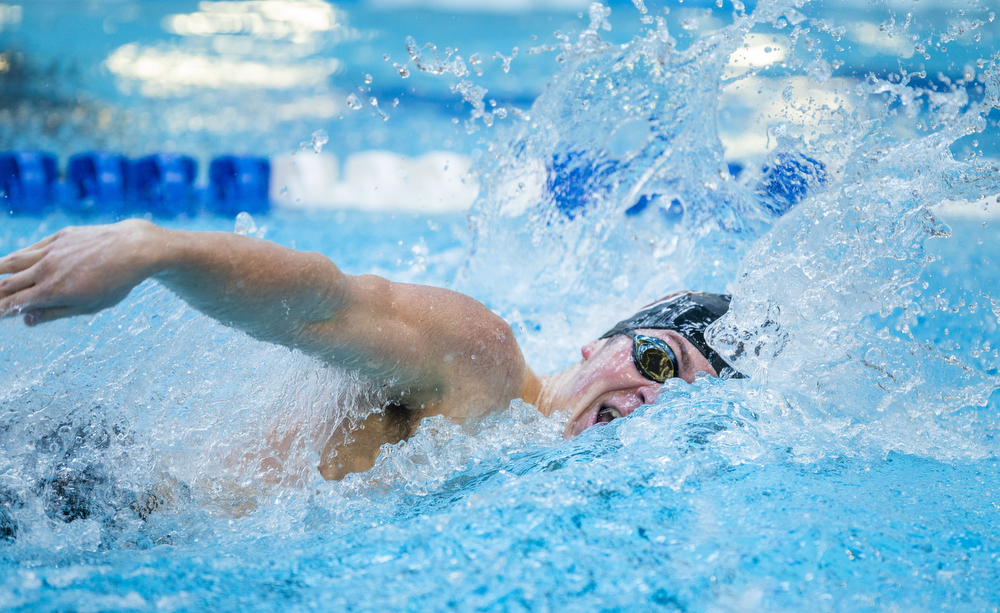 Hershey takes on State College and Palmyra in triple dual swim meet ...