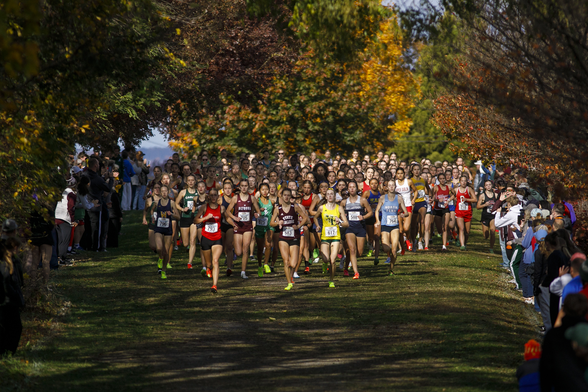 PIAA 3A Boys and Girls cross country championships - pennlive.com
