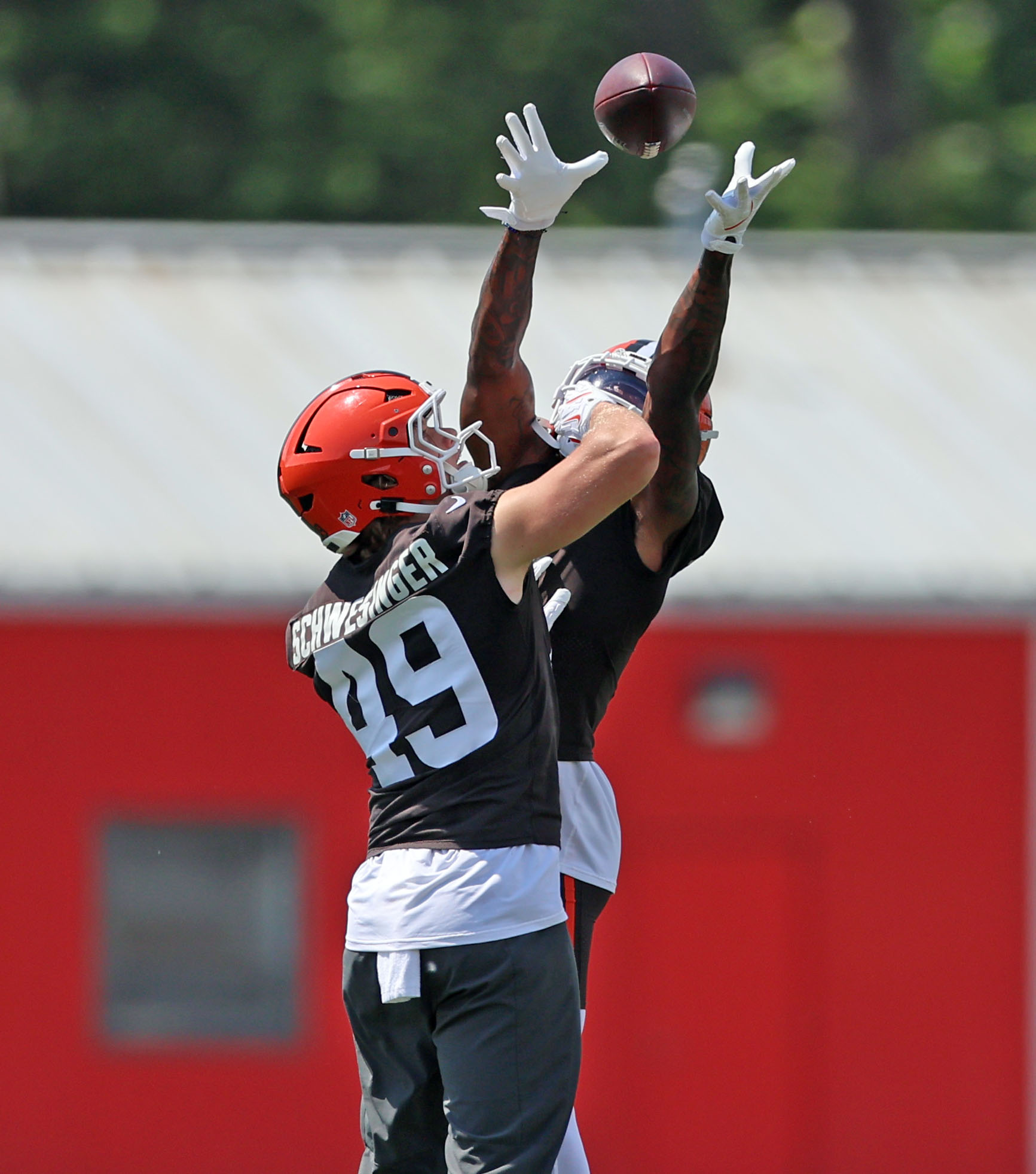 Cleveland Browns, Brian Hoyer bounce Cincinnati Bengals, 17-6