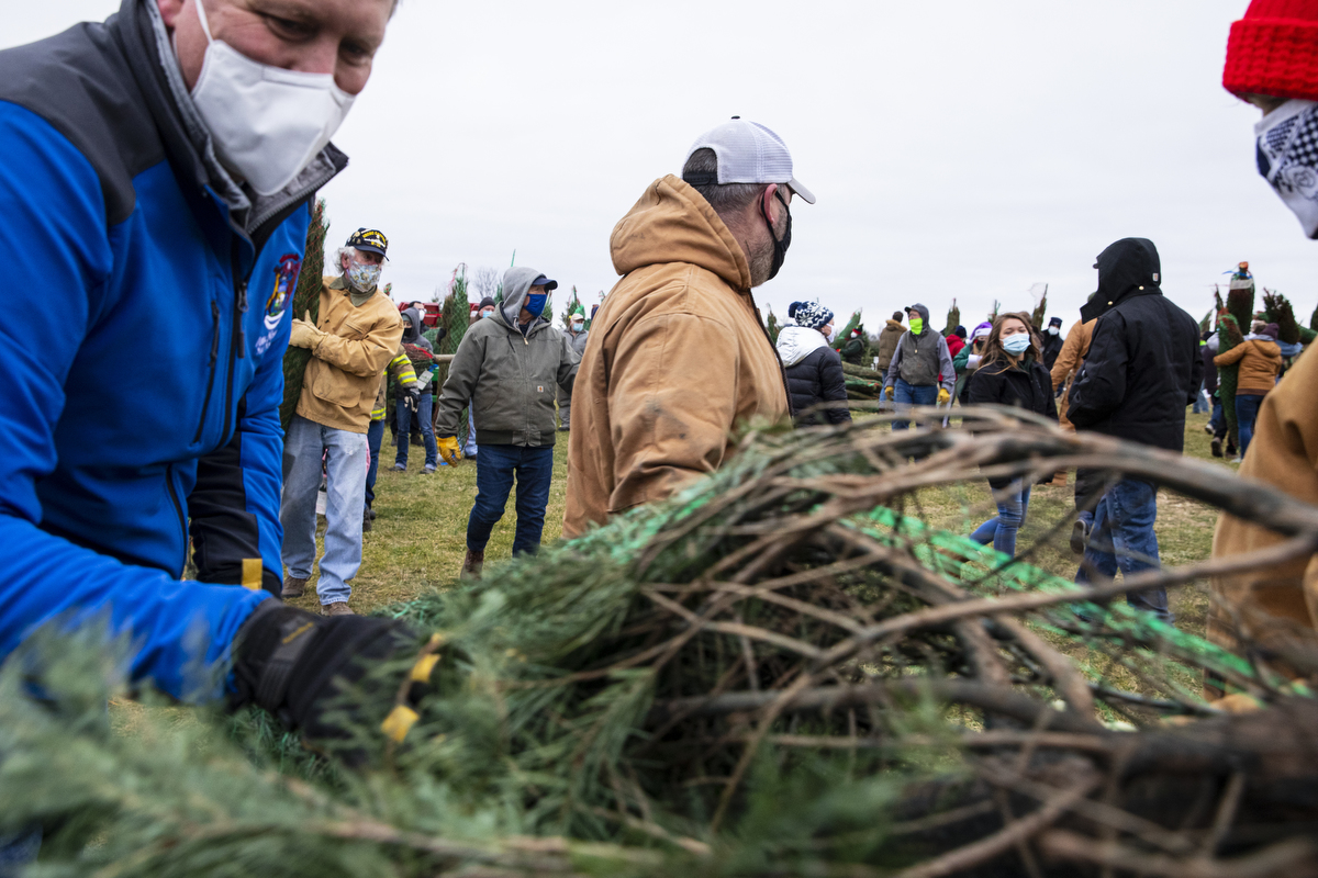 Volunteers gather to load Christmas trees for 'Trees for Troops
