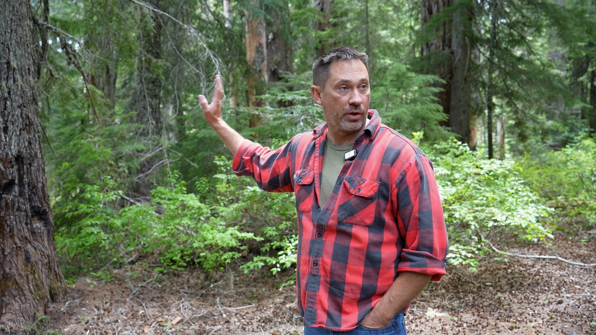 Pacific Northwest Bigfoot Search - oregonlive.com