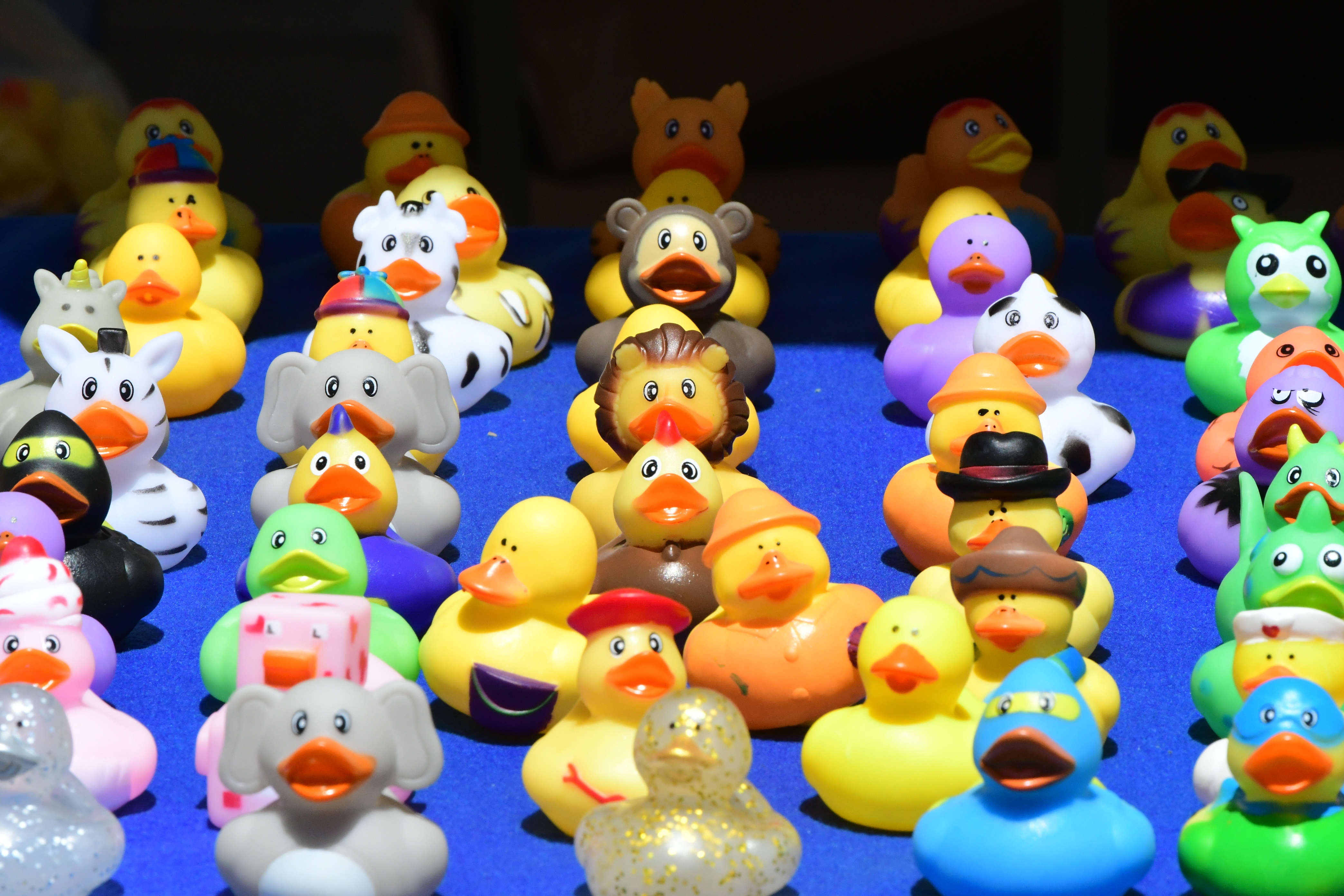 Clinton Sunrise Rotary 32nd Annual Great Hunterdon Rubber Ducky Race ...