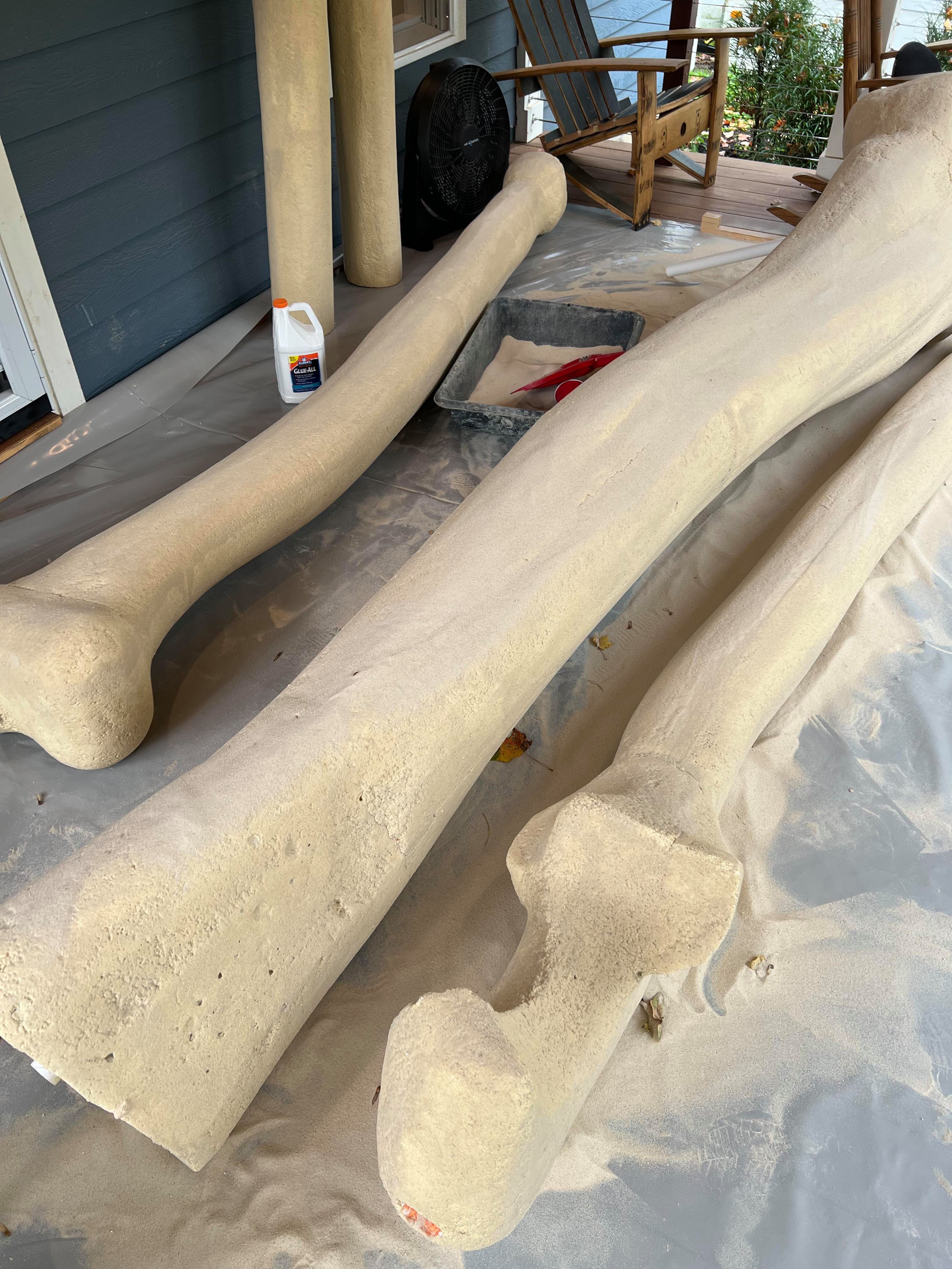 Olmsted Falls skeleton house