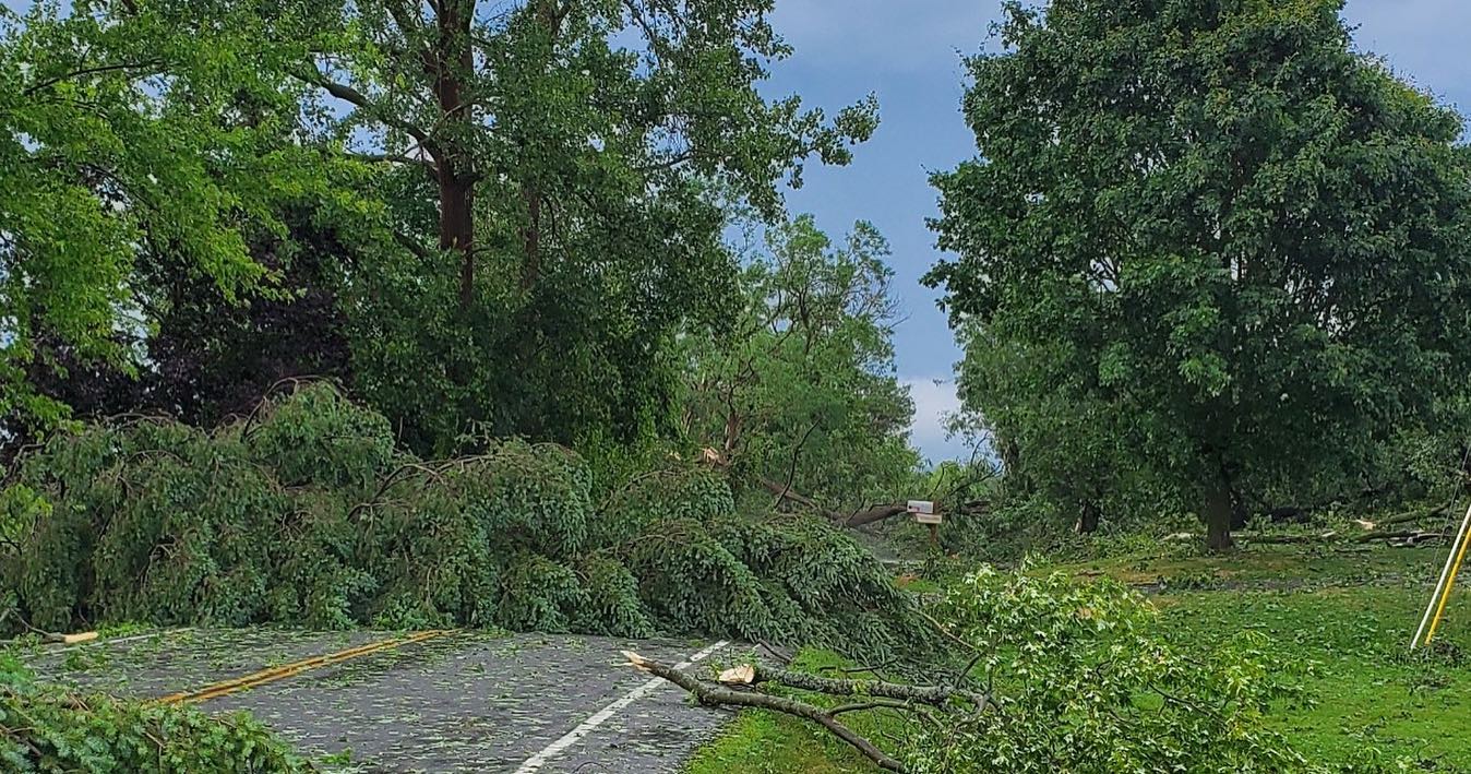 Storm downs trees, wires in Onondaga County