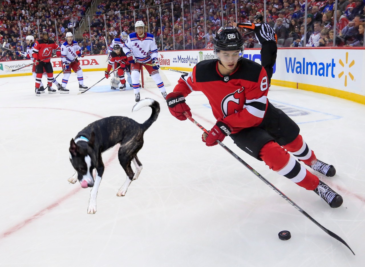 New Jersey Devils NHL Dog Collar