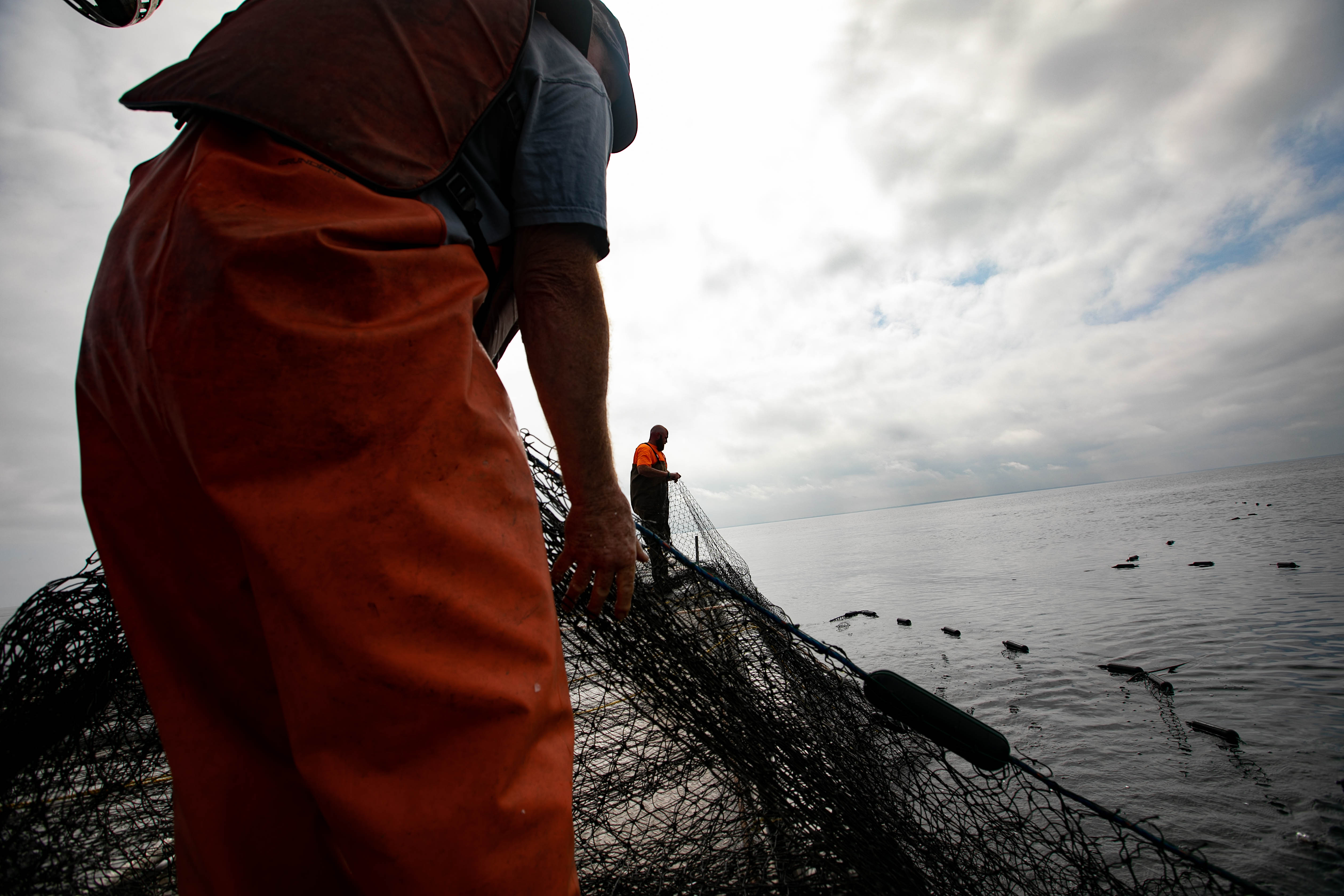 Michigan House OKs bills that ban commercial perch fishing on the state's  Great Lakes - mlive.com