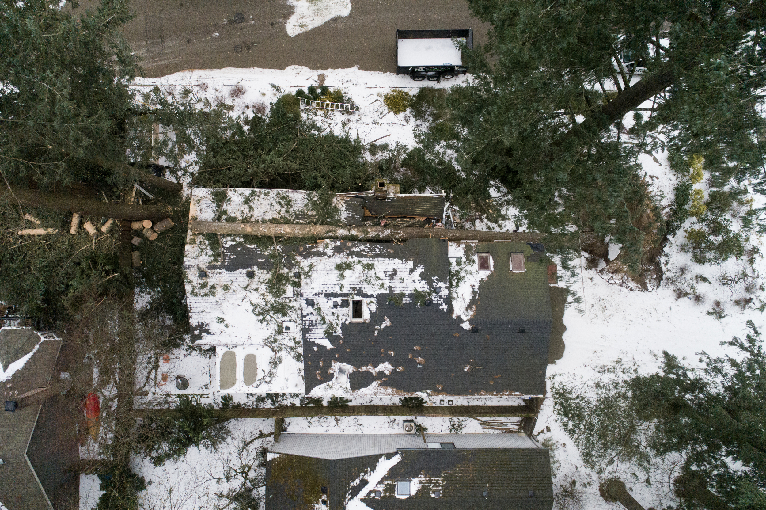Portland man reunites with cat after tree falls on house - oregonlive.com