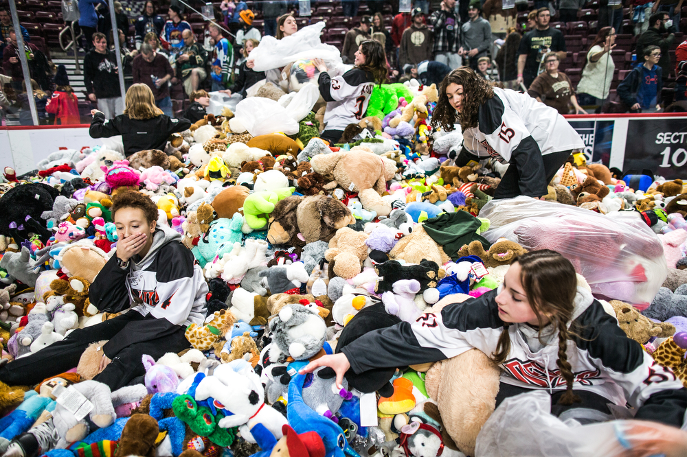 Chicago Bears Fan Set for Stuffed Animals