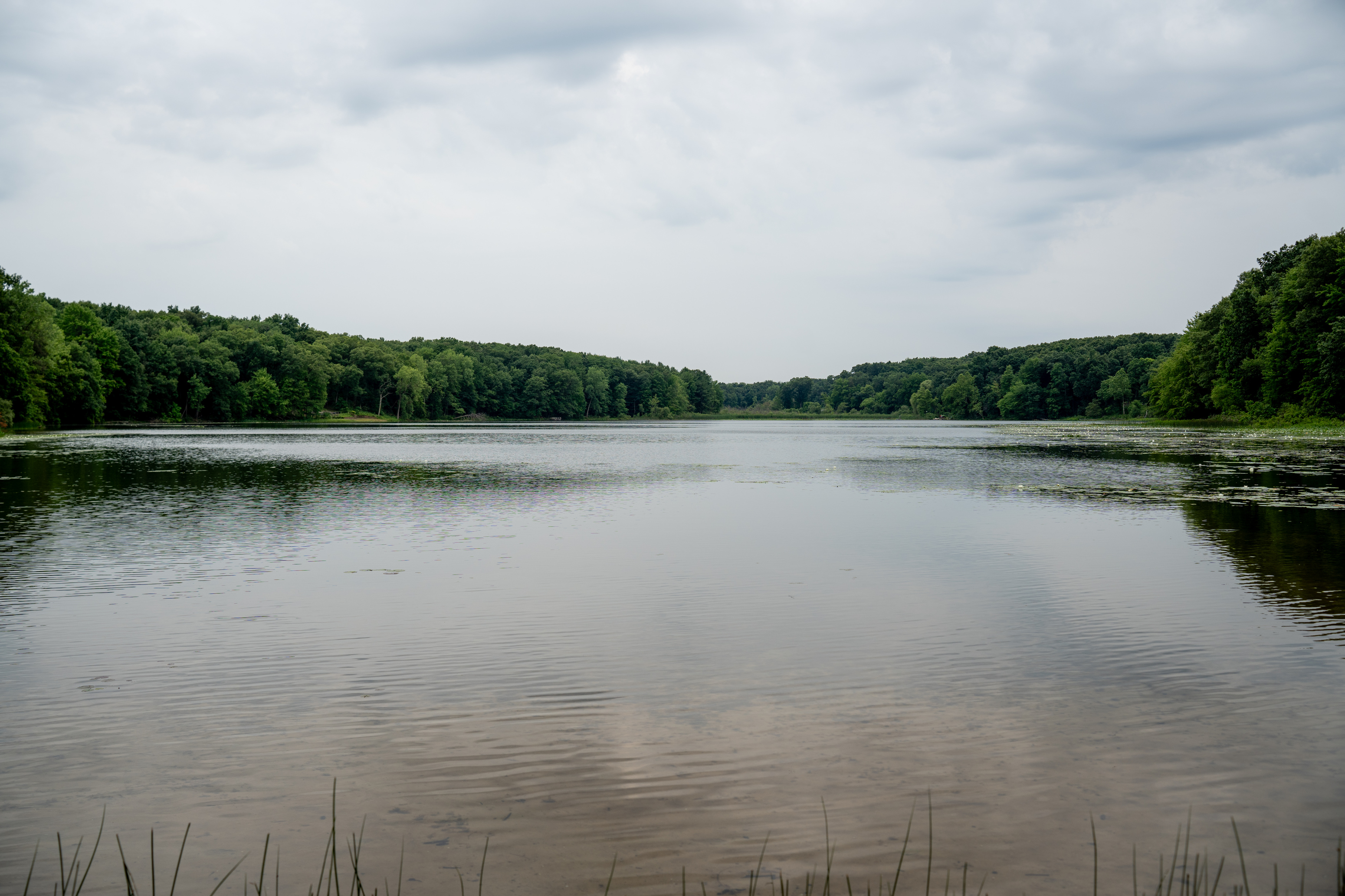 Woollam Nature Preserve - mlive.com