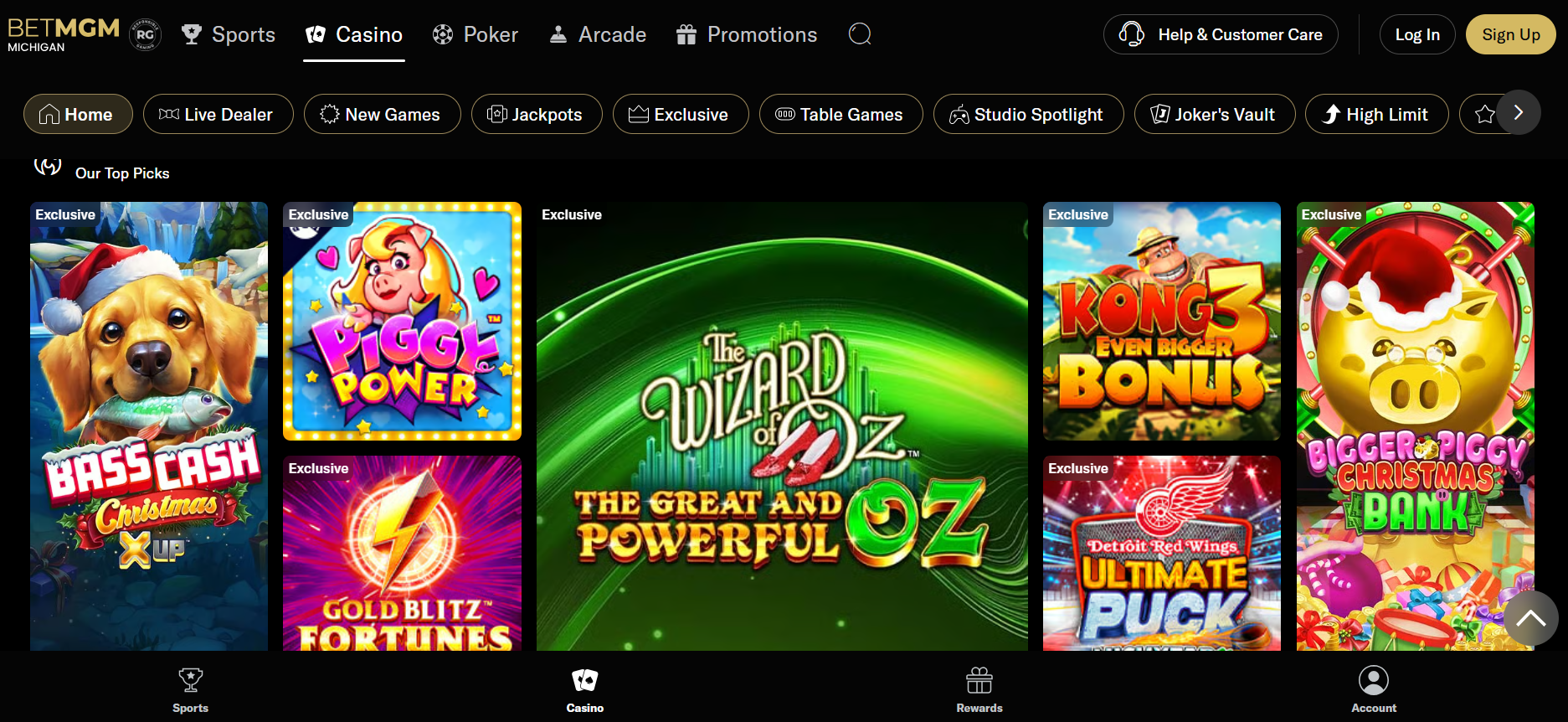 Interface Betriot Casino