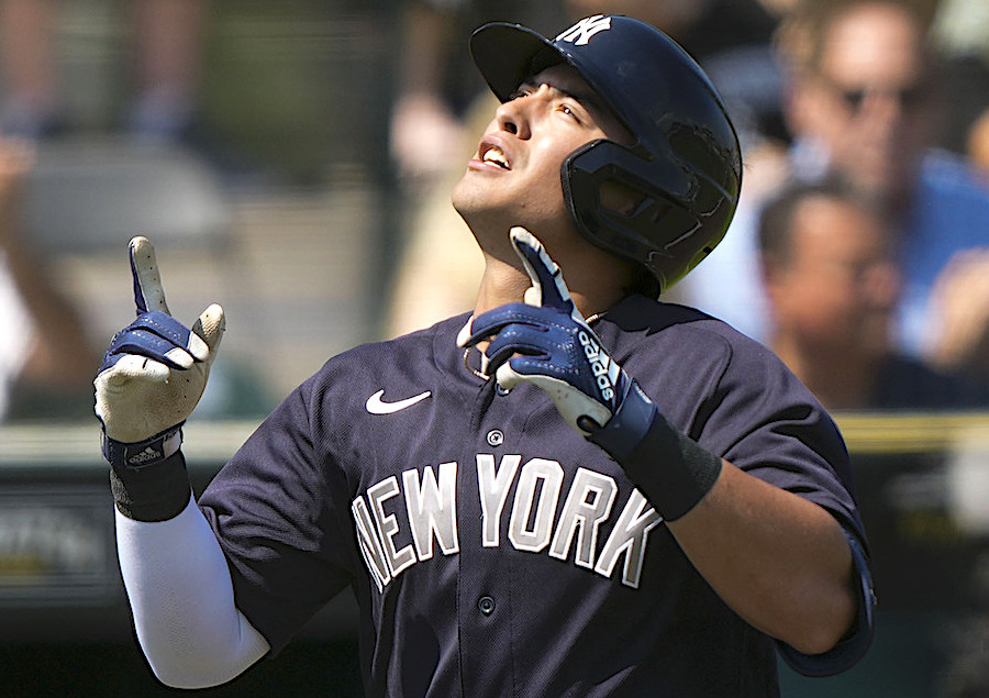 Homegrown: Anthony Volpe, the next great Yankees hope, is uniquely