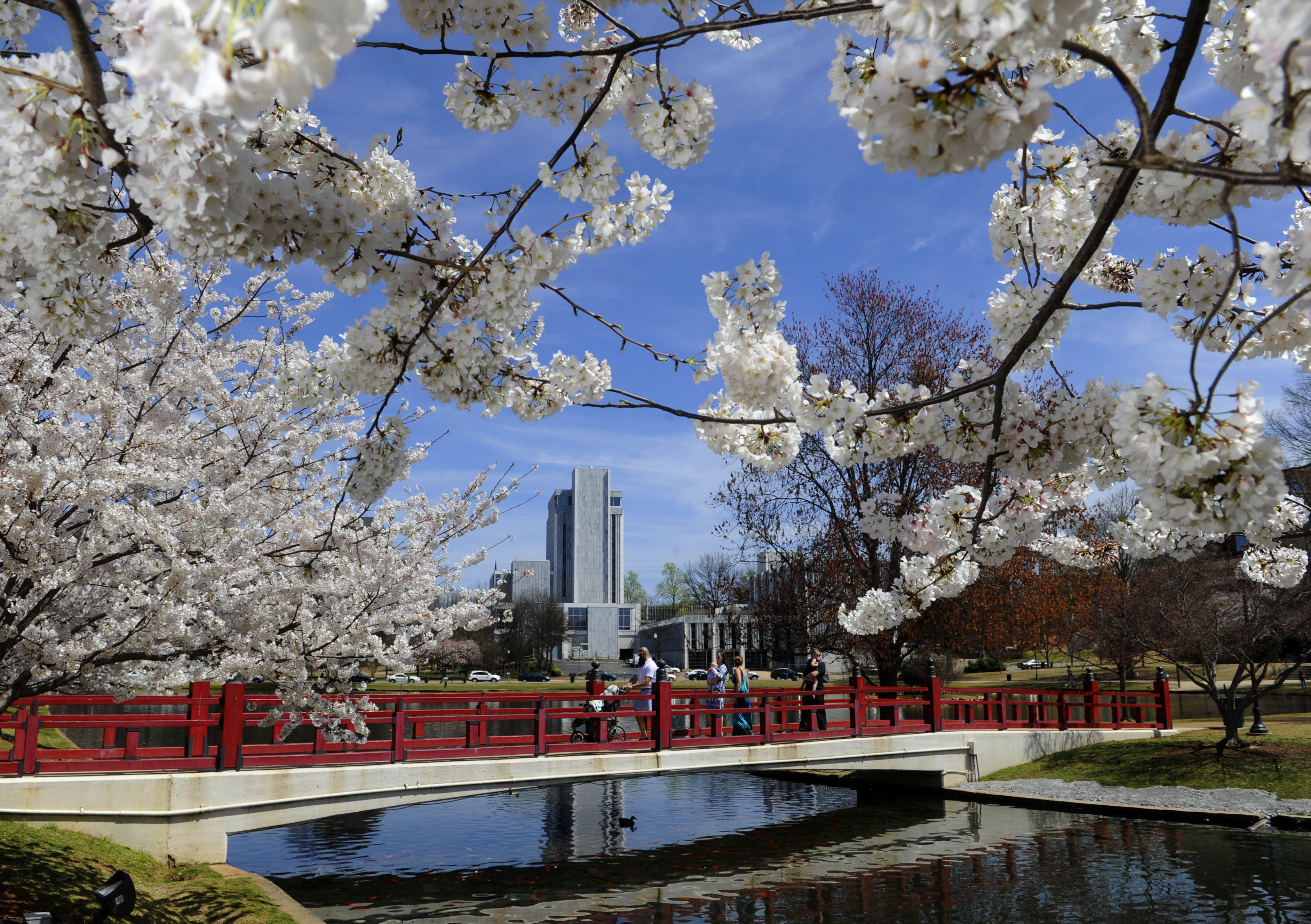 Huntsville: Big Spring Park  Spring park, Big spring, Best places to retire