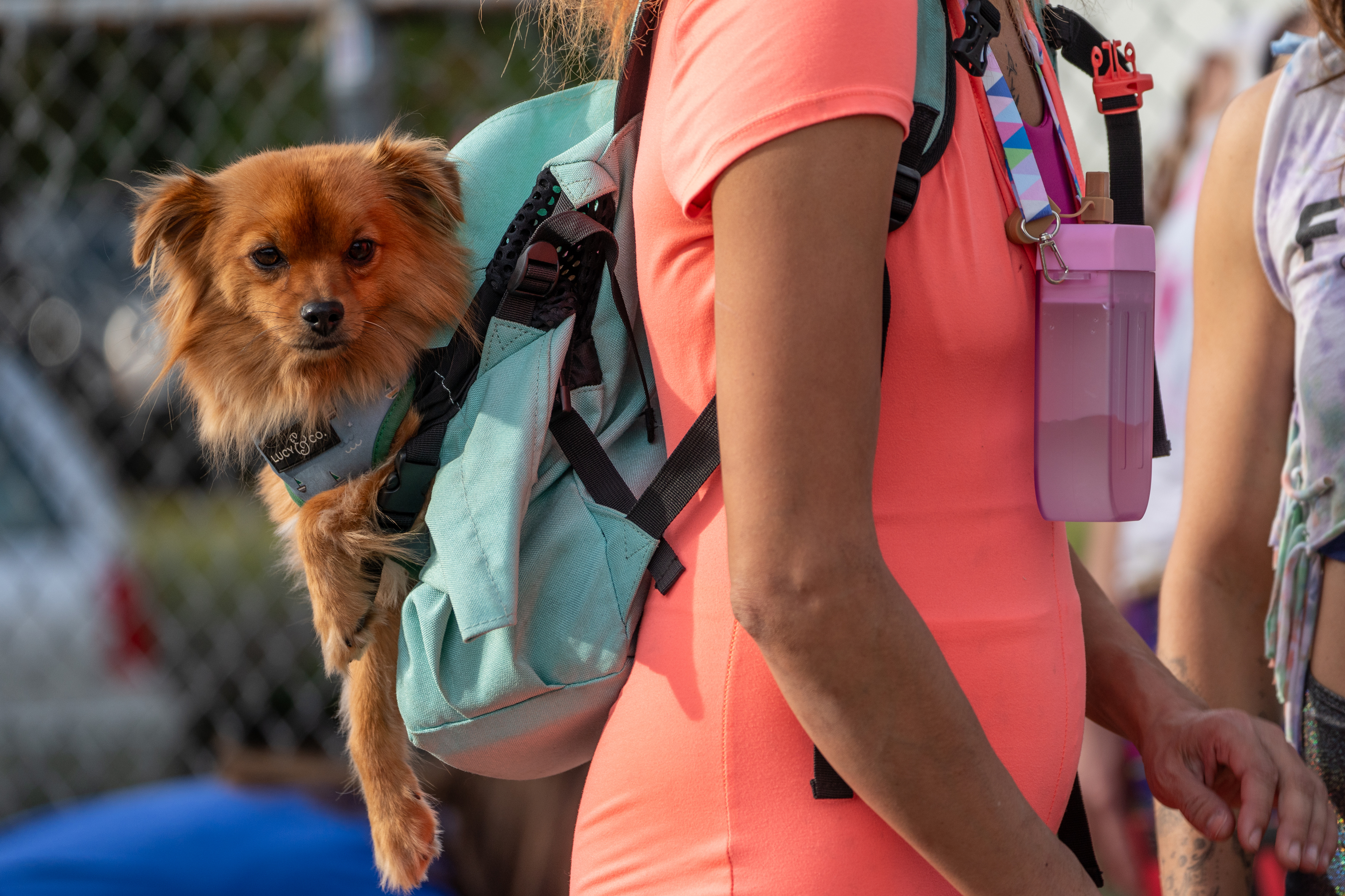 Participants in Fulcrum Fitness’s “Sweatin’ Out the Fascists” held an ’80s-aerobics peaceful protest outside the U.S. Immigration and Customs Enforcement (ICE) facility in South Portland on Sunday, Nov. 9, 2025, collecting donations for the Oregon Food Bank.