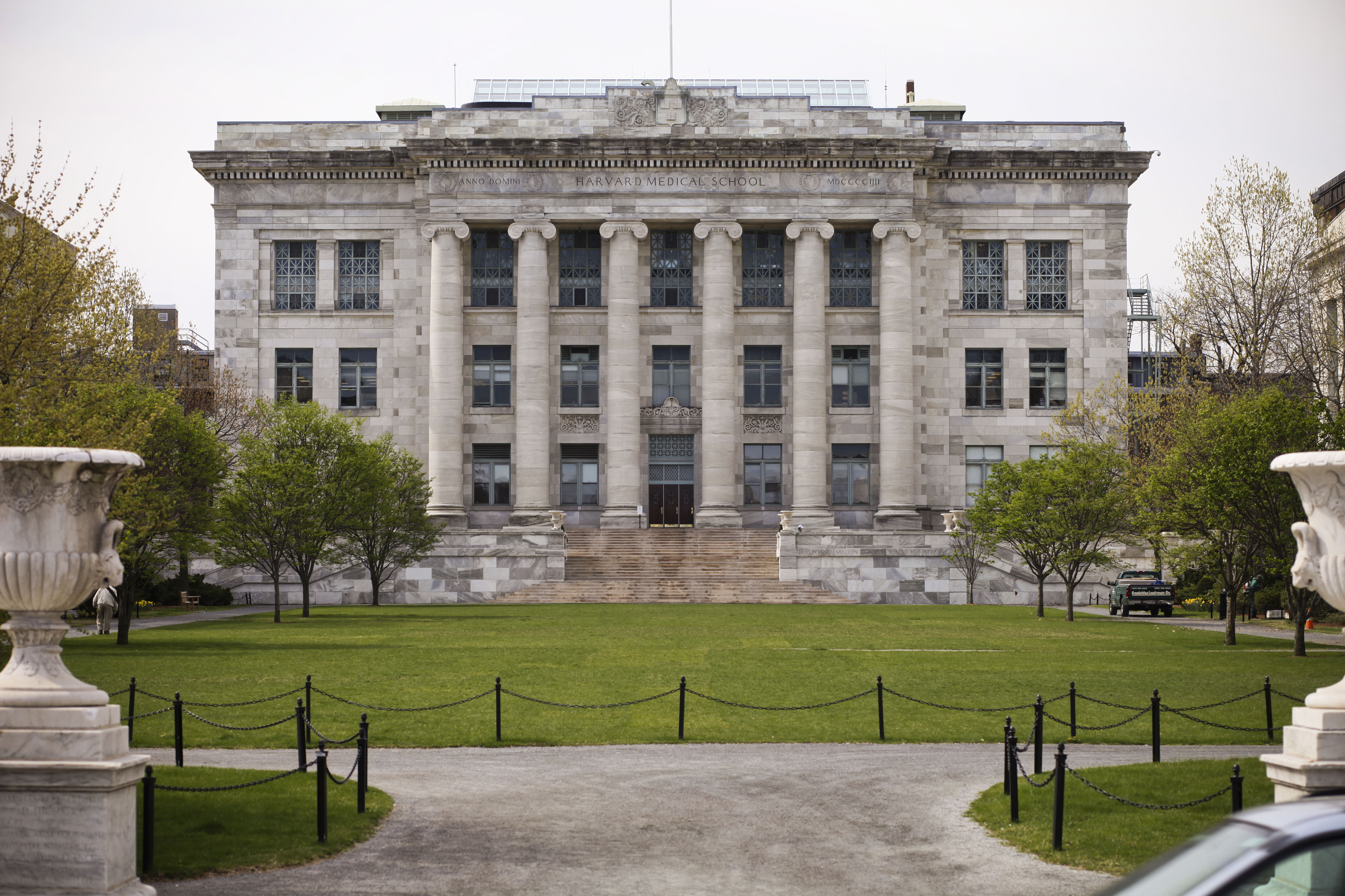 Skull Surprise  Harvard Medical School