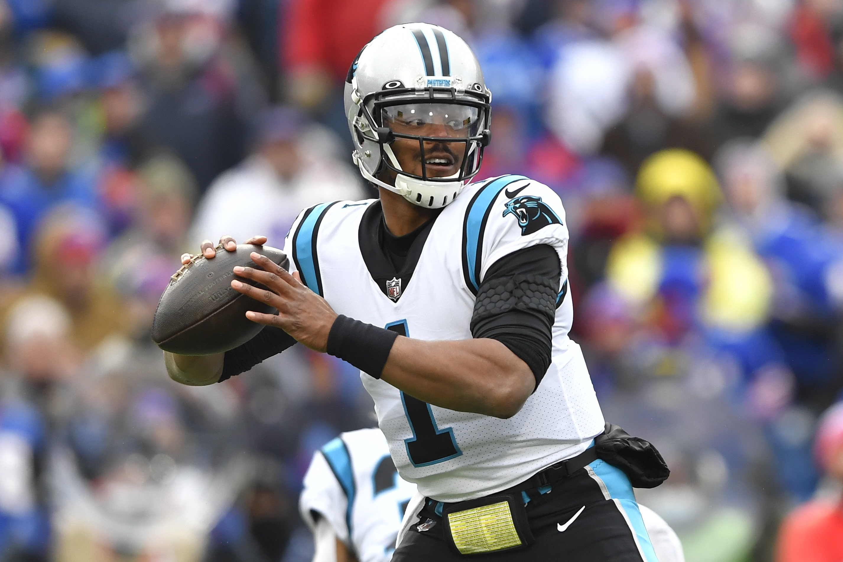 Bills vs. Panthers: NFL Week 15 