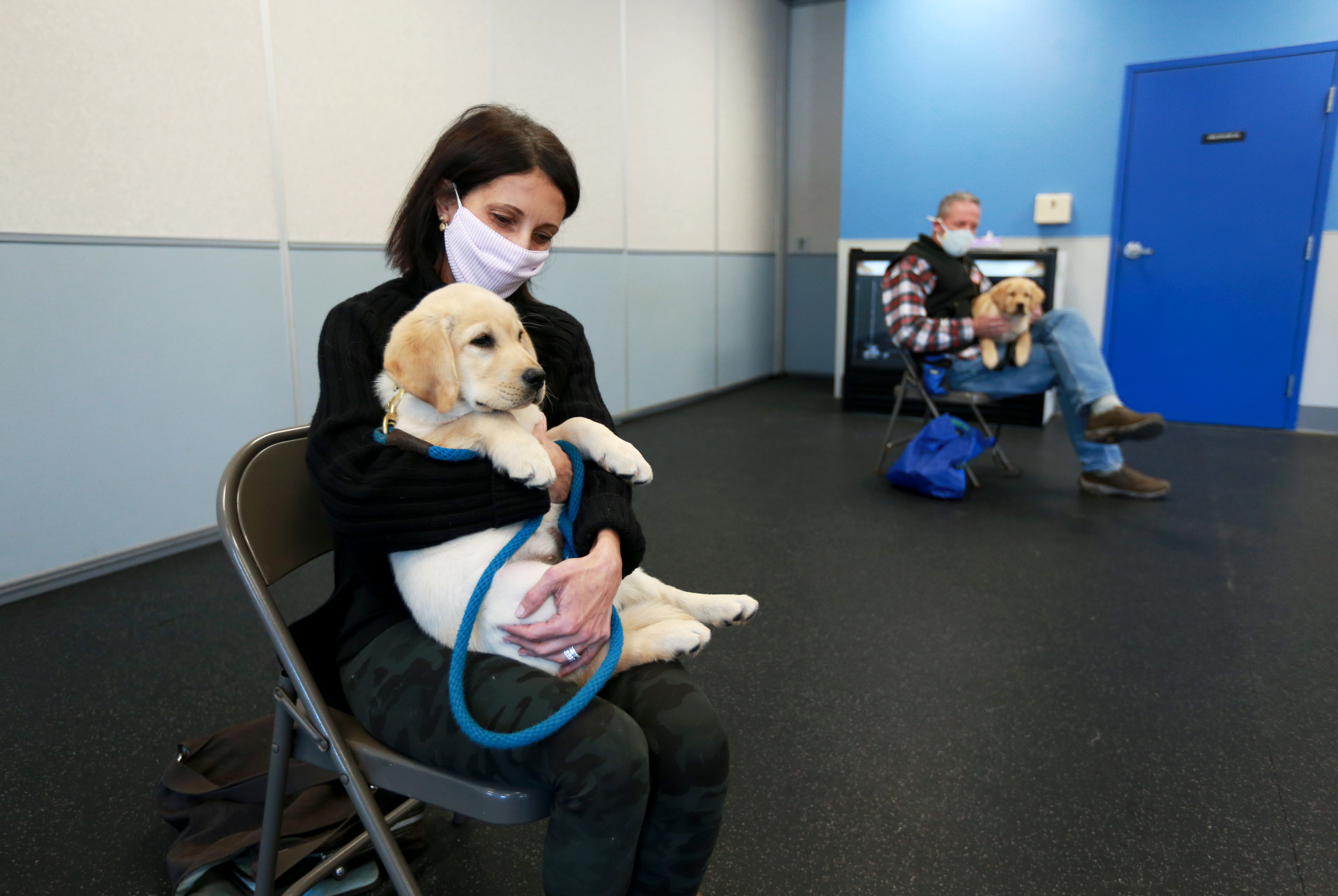 St huberts therapy dog 2024 training