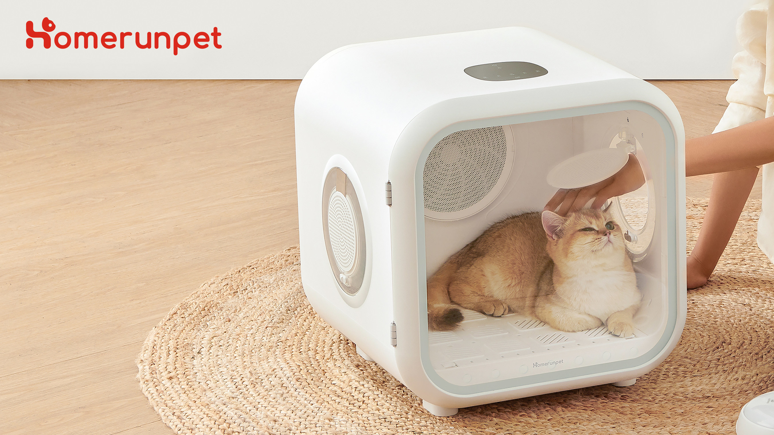 Yes, you can put your cat (or small dog) in this dryer you can buy