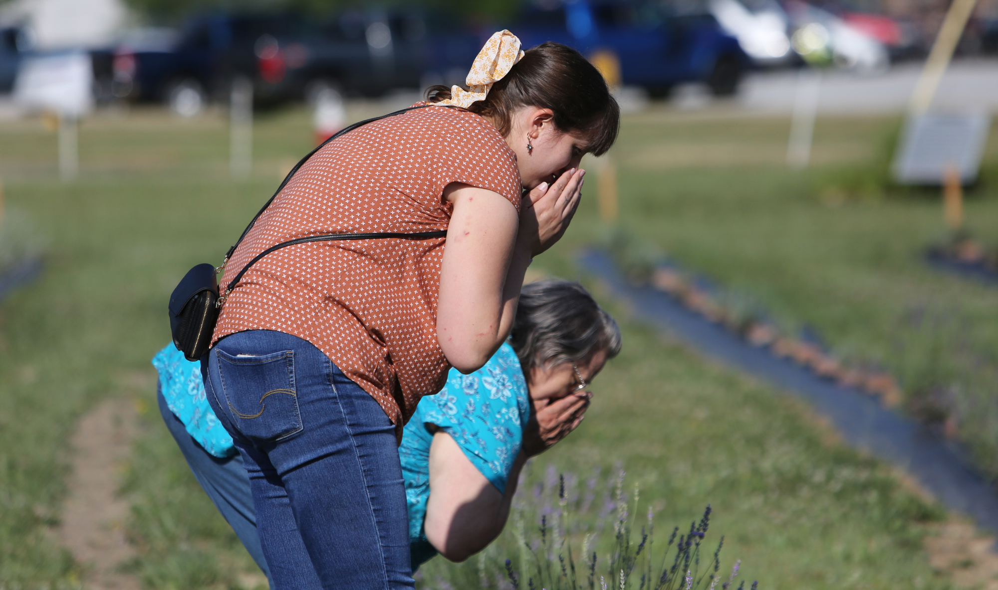 Lavender Trails Farm in Orrville