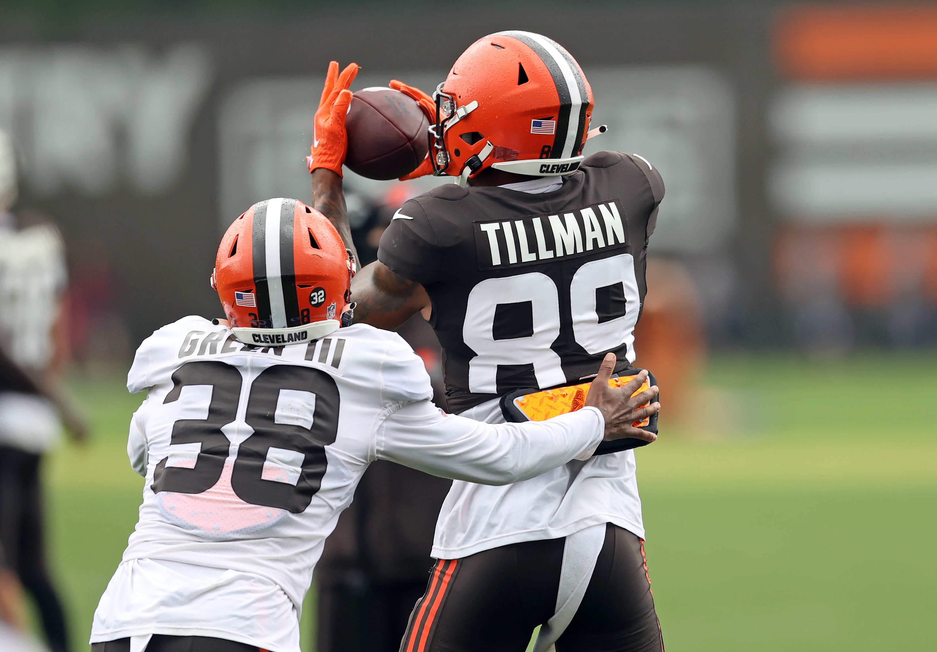 Cleveland Browns wide receiver Jaylen Wayne (31) runs up the field