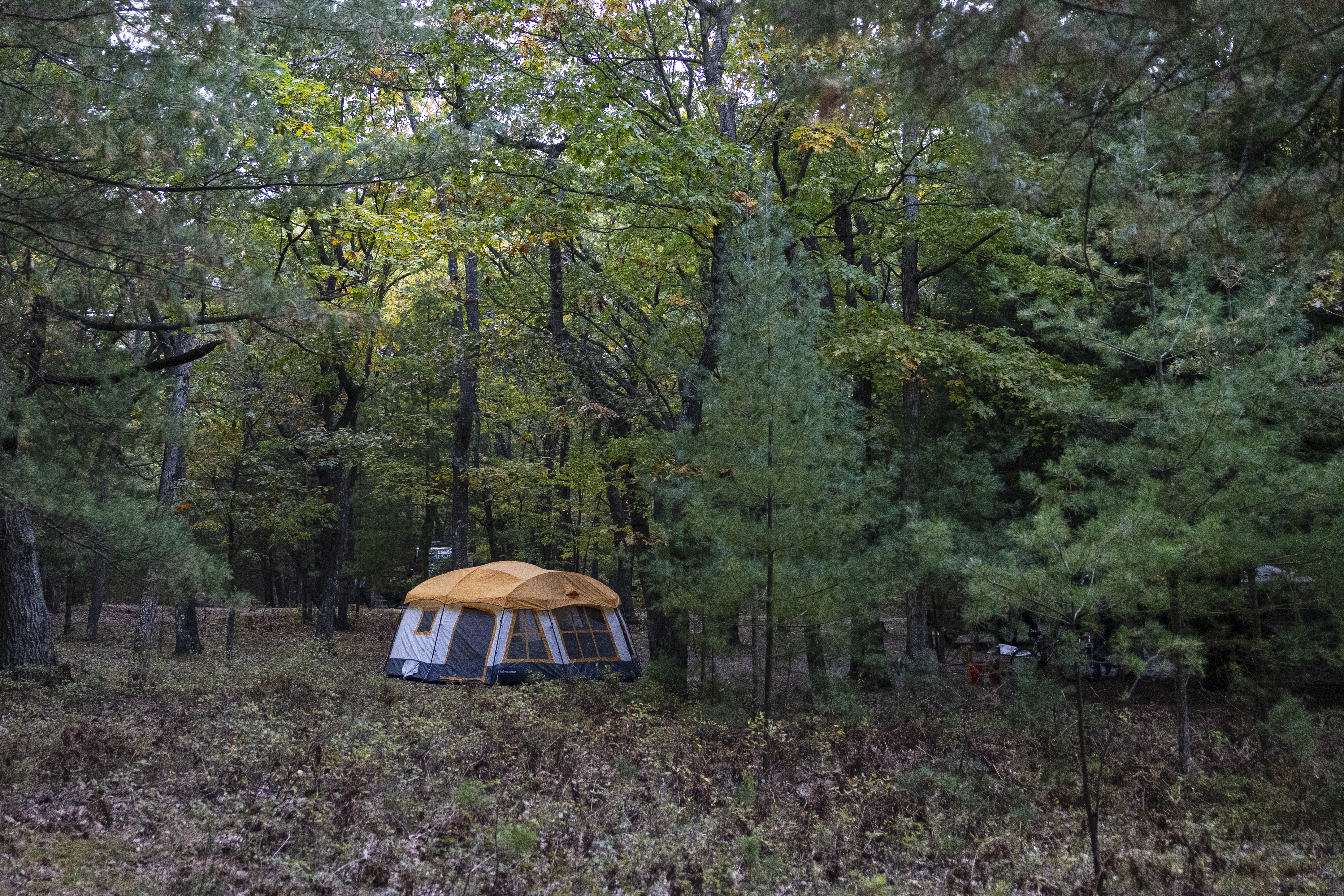 A reservable campground site at Nordhouse Dunes Wilderness Area in Mason County, Mich. on Saturday, Oct. 12, 2024.  