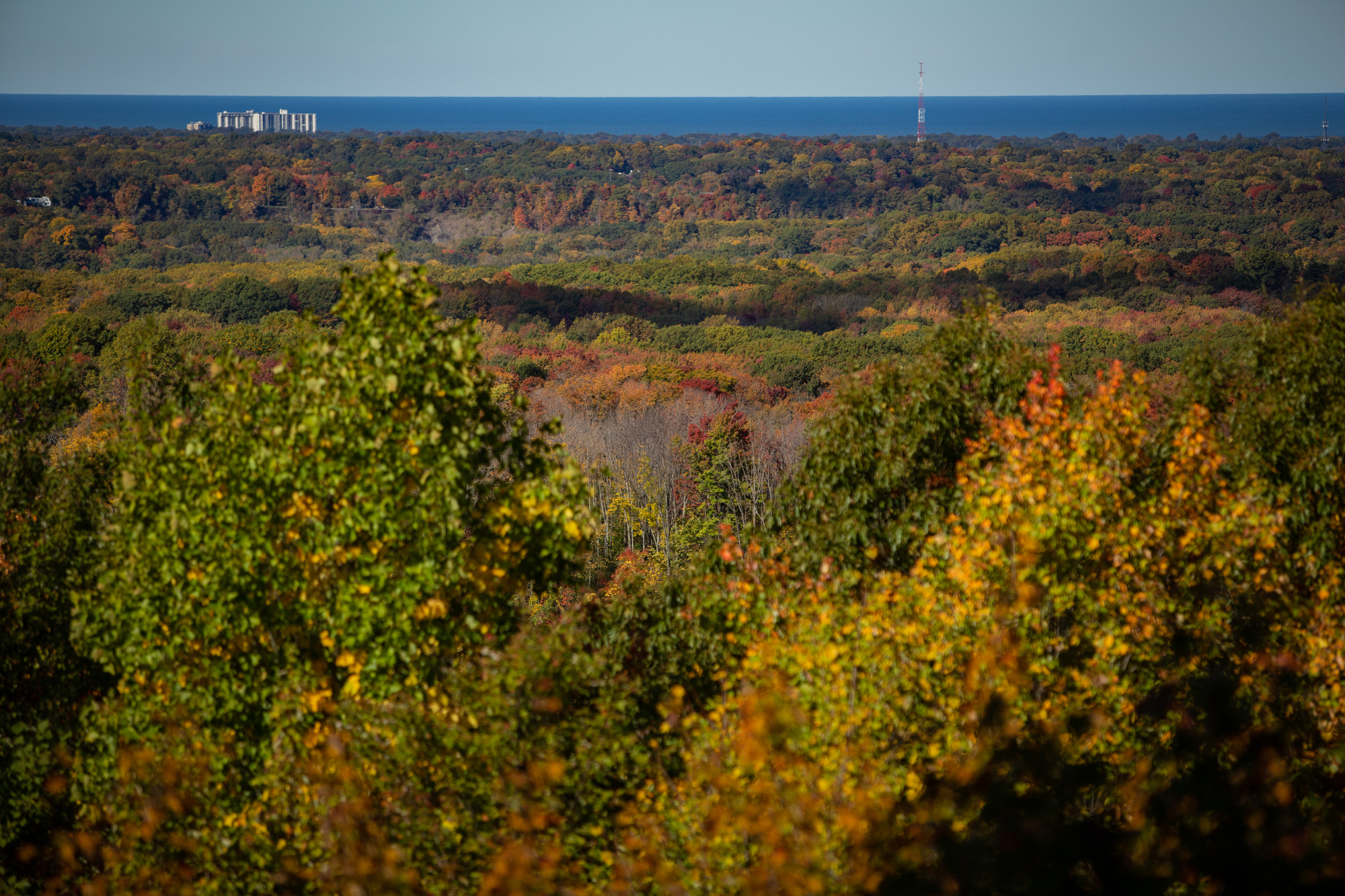 Fall colors in Northeast Ohio in 2020 - cleveland.com