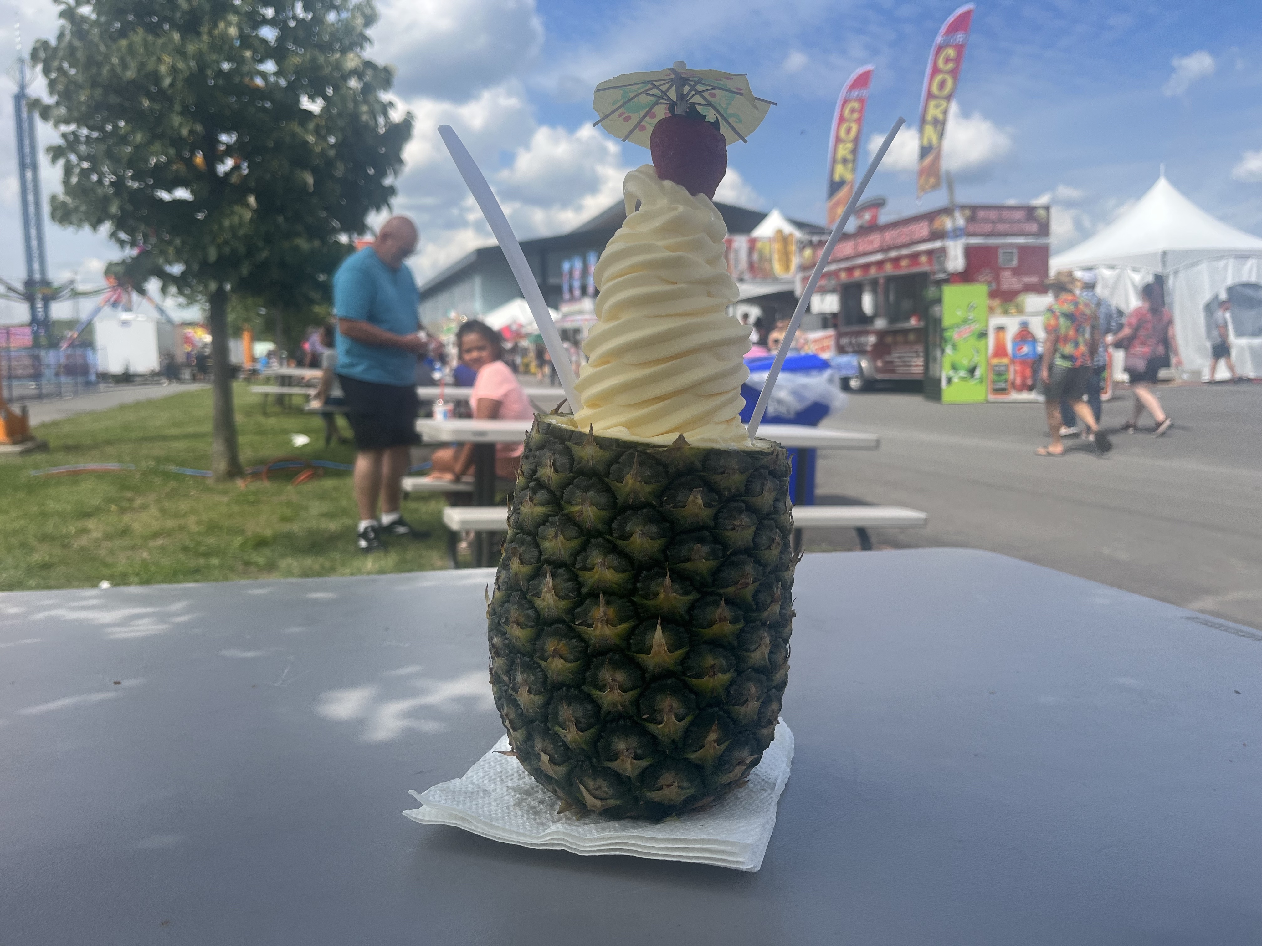 Dole Whip, piled into a scooped-out pineapple, is an eye-catching treat available at Tropical Delights at the NYS Fair.