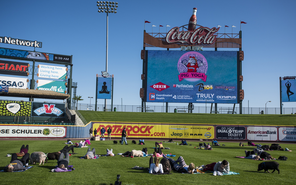 Eating Your Way Through Coca-Cola ParkLehigh Valley Marketplace