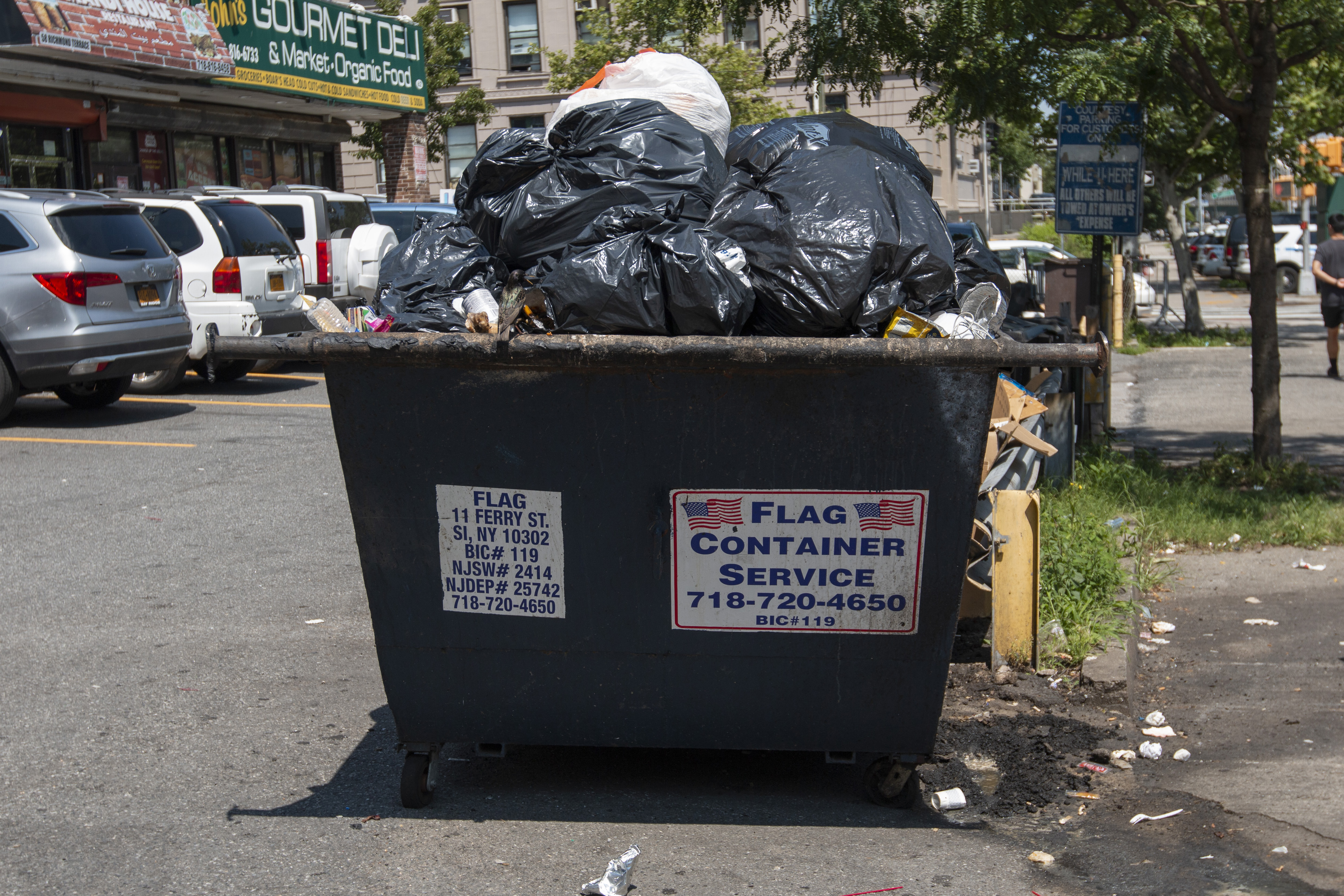 I hate rats, and rats love garbage bags. We cannot coexist'; NYC to force  restaurant trash into containers 