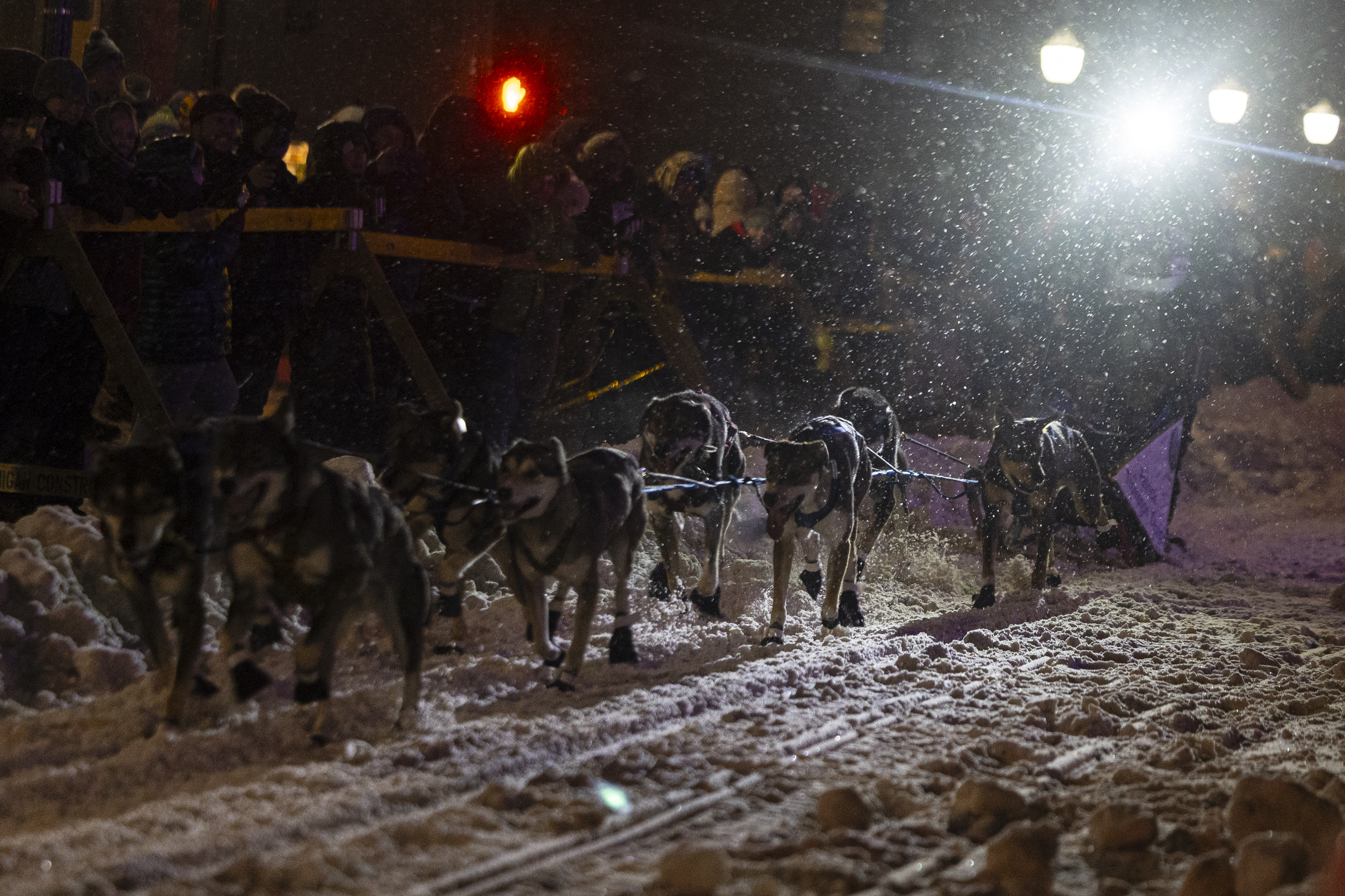 Marquette sends off The UP200, Midnight Run for 2025 dog sled races ...