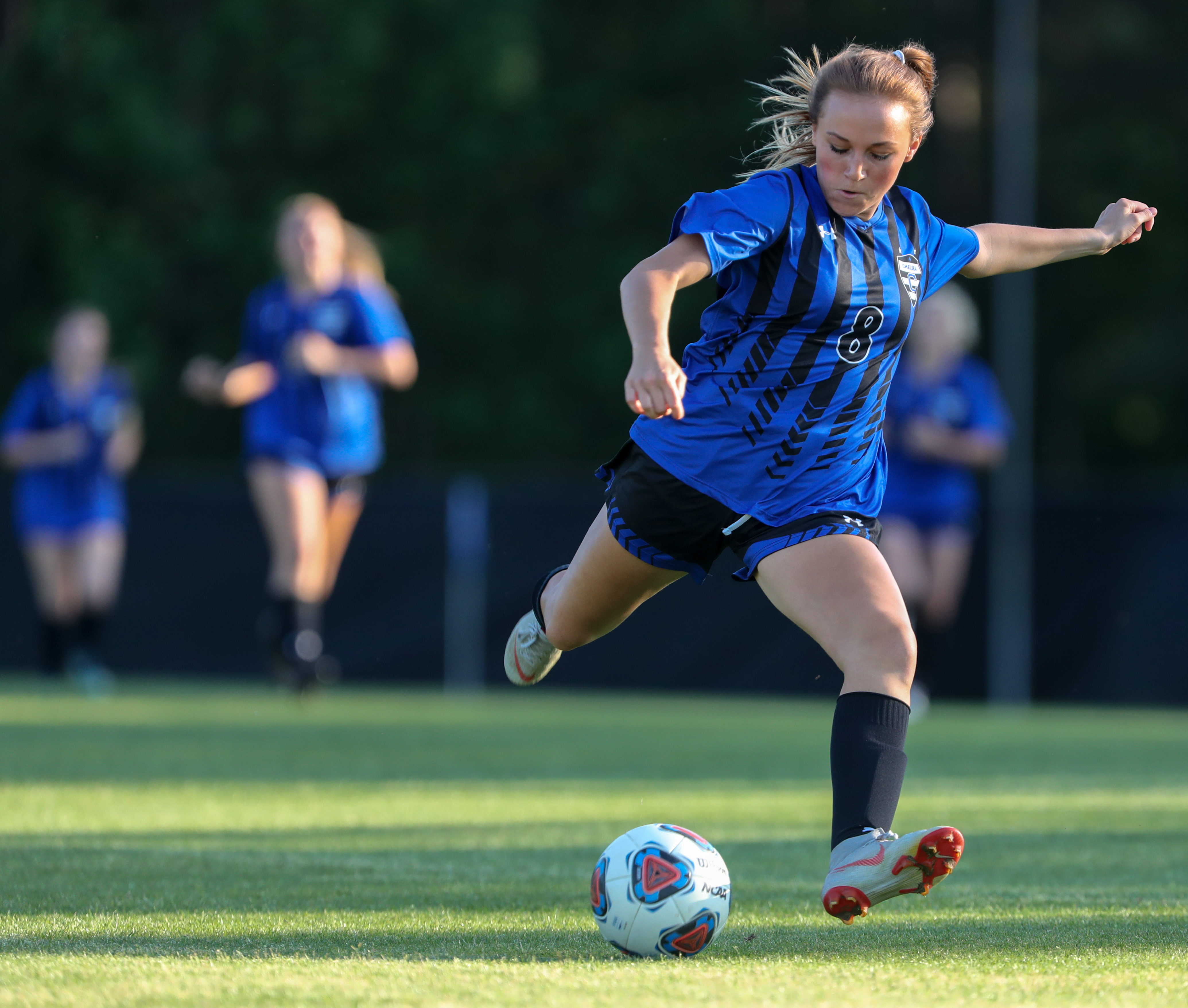 Chelsea, Vestavia Hills, Hoover each place 4 on girls soccer all-state team  