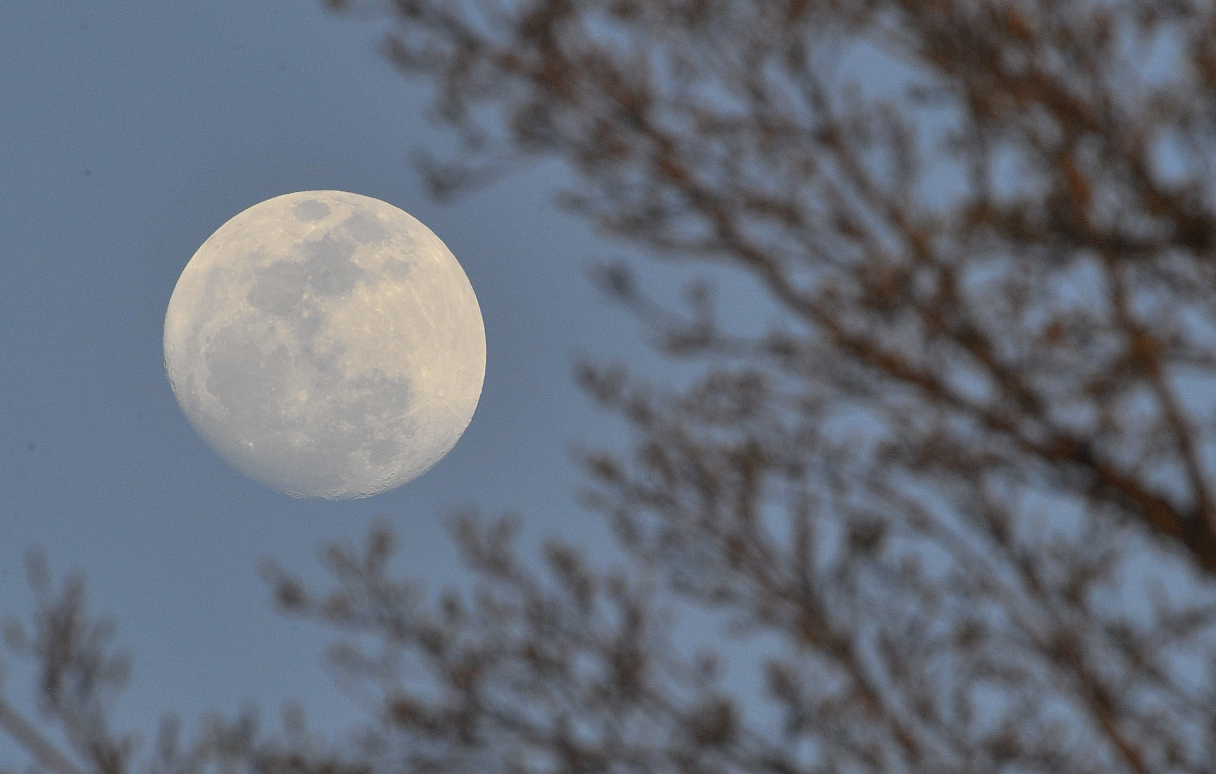 Прибывающая луна в марте